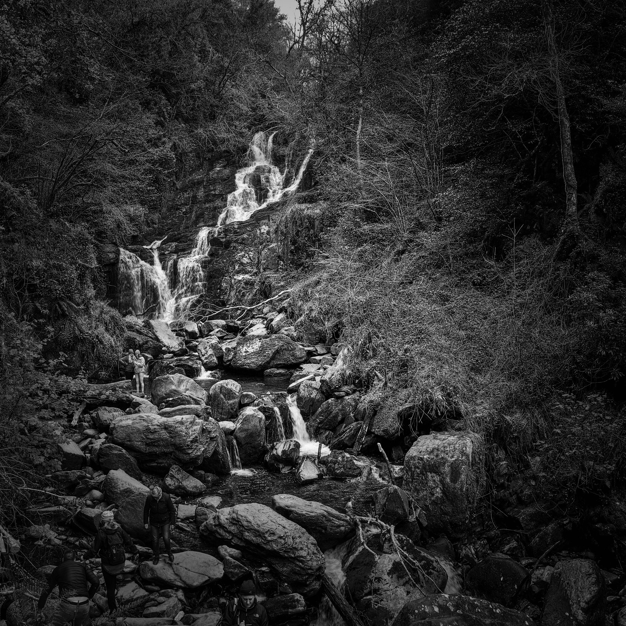 Sigma dp1 Quattro sample photo. Torc waterfall (ireland) photography