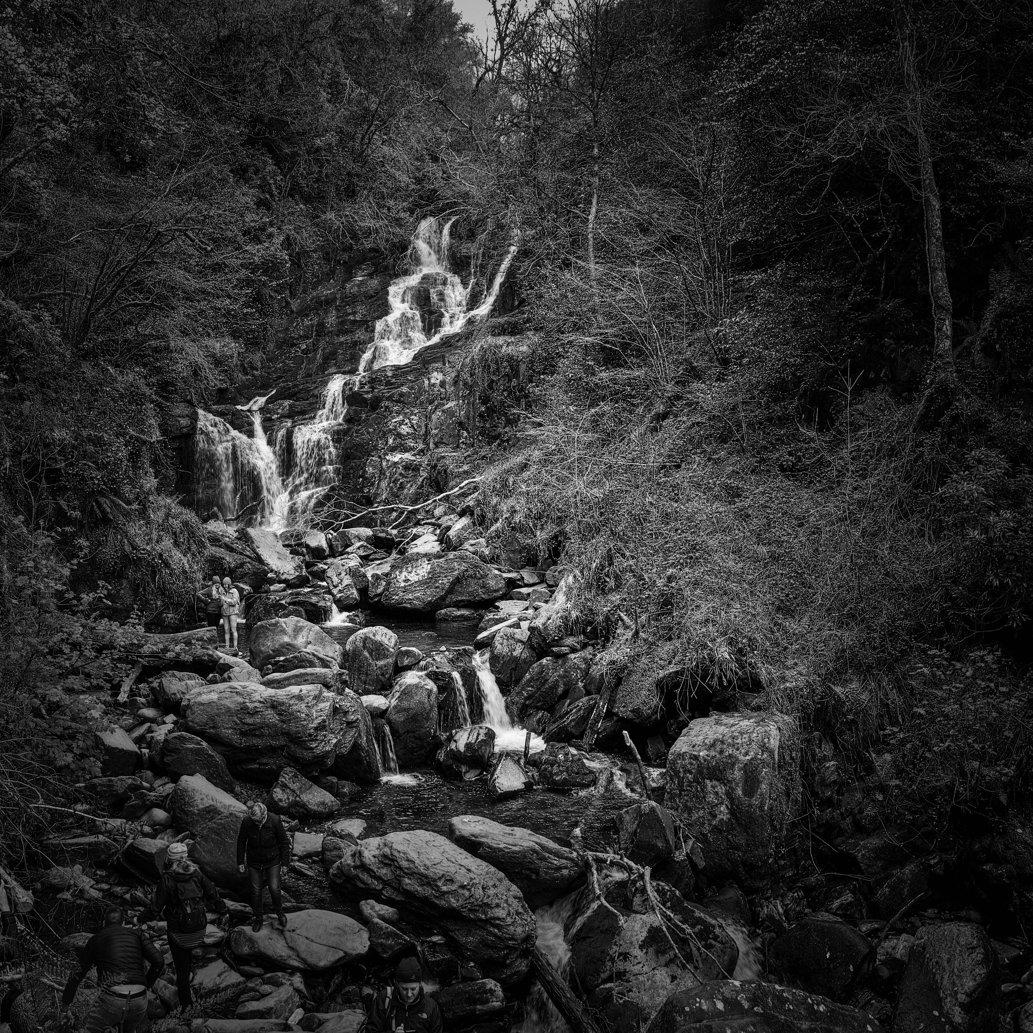 Sigma dp1 Quattro sample photo. Torc waterfall (ireland) photography