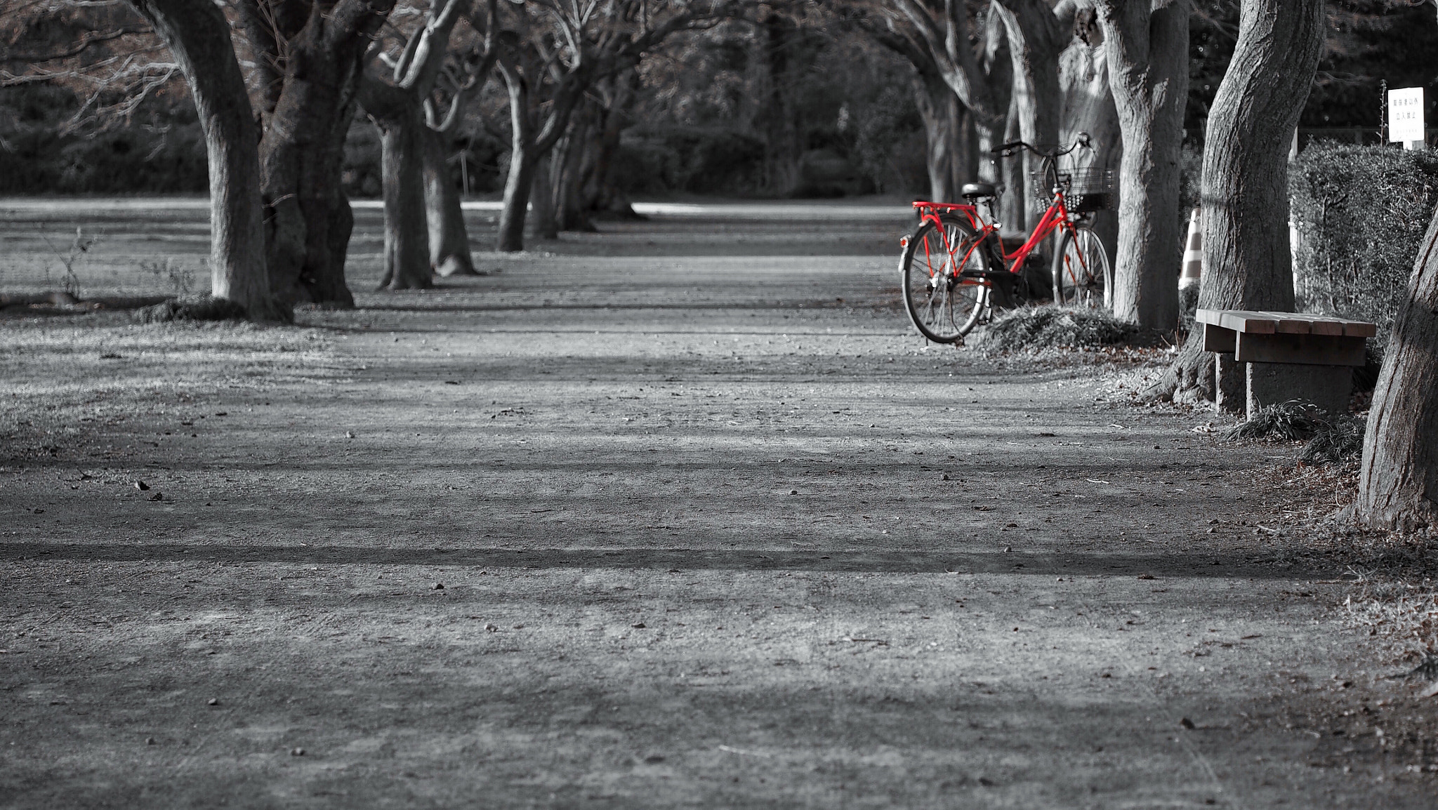 Olympus PEN E-PL7 sample photo. A red bicycle photography