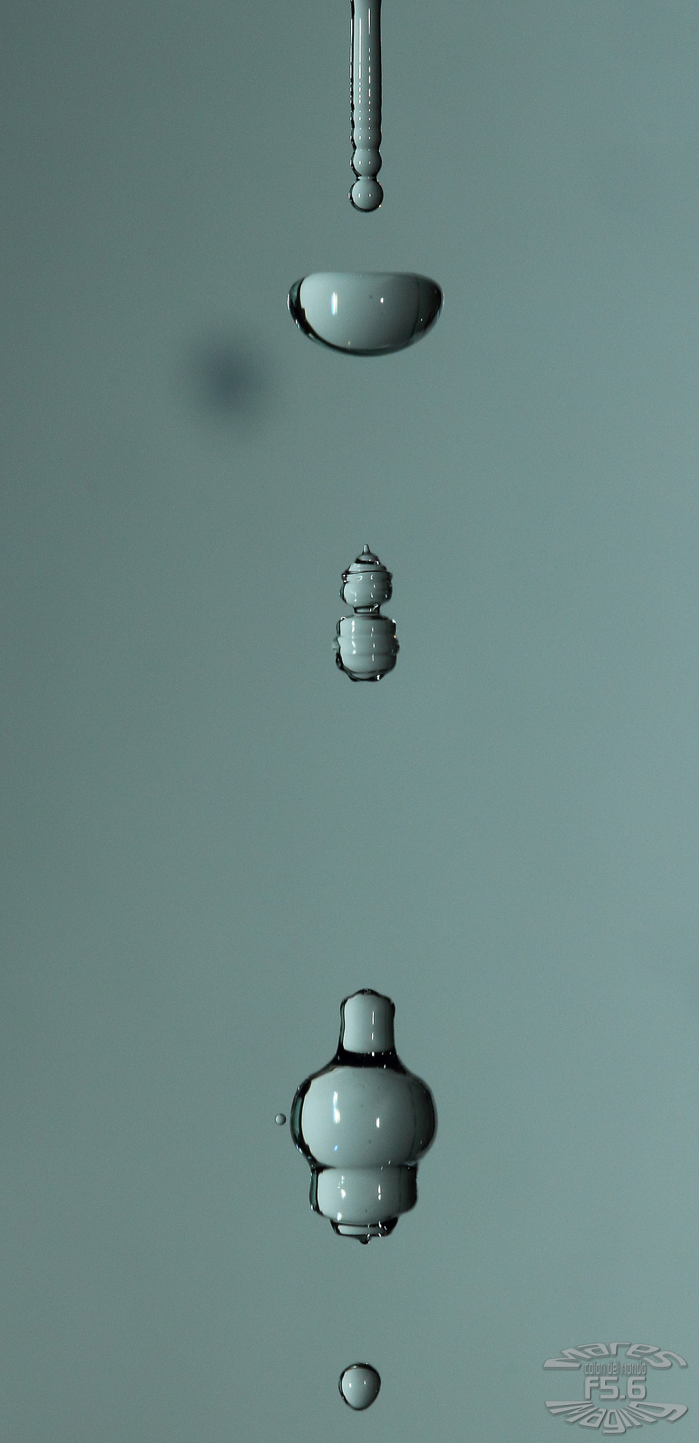 Sigma 105mm F2.8 EX DG OS HSM sample photo. Gkhjghdkkhgkhg photography