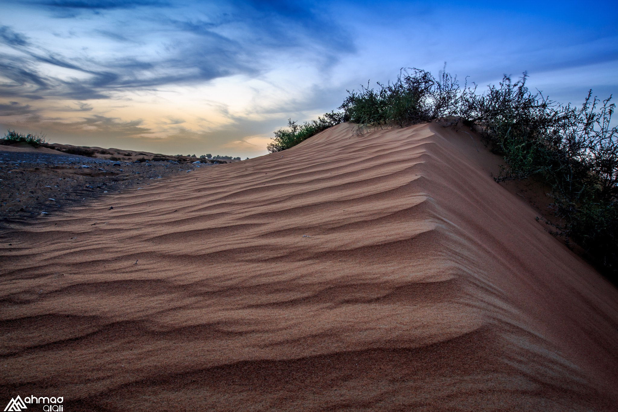 Canon EF 16-35mm F2.8L II USM sample photo. Sunset  photography