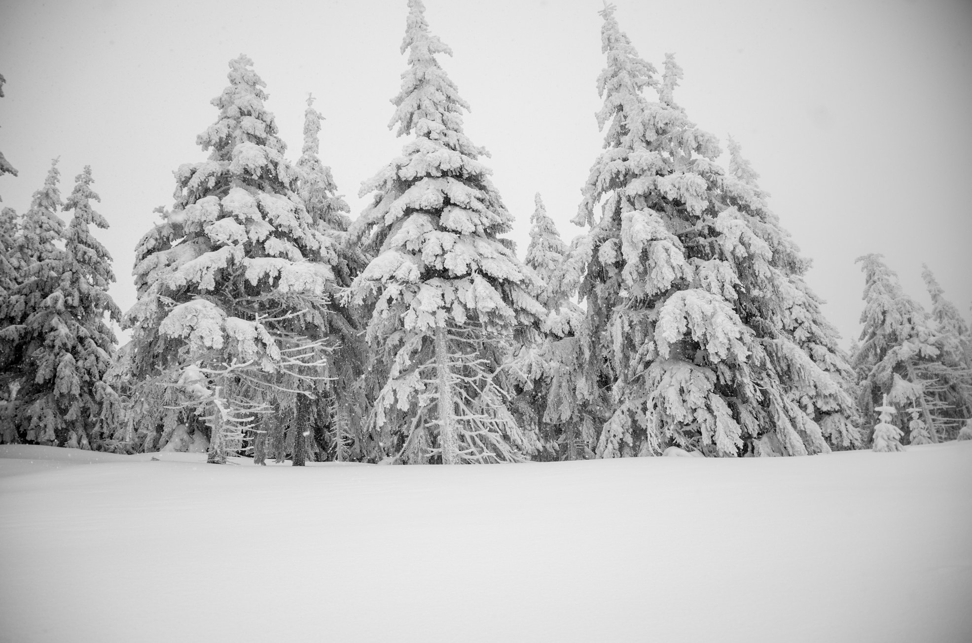 Pentax K-30 sample photo. Winter wonderland photography