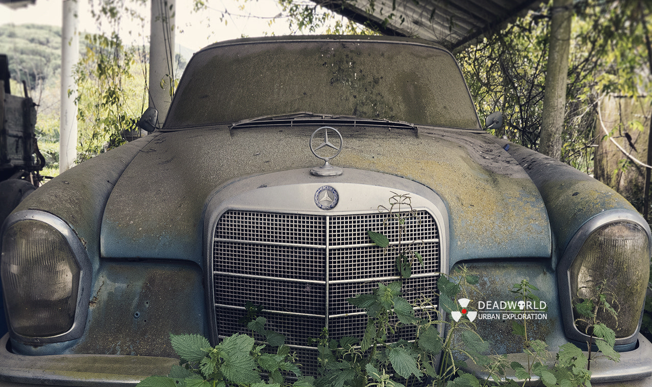 Sigma 10-20mm F4-5.6 EX DC HSM sample photo. Benz photography