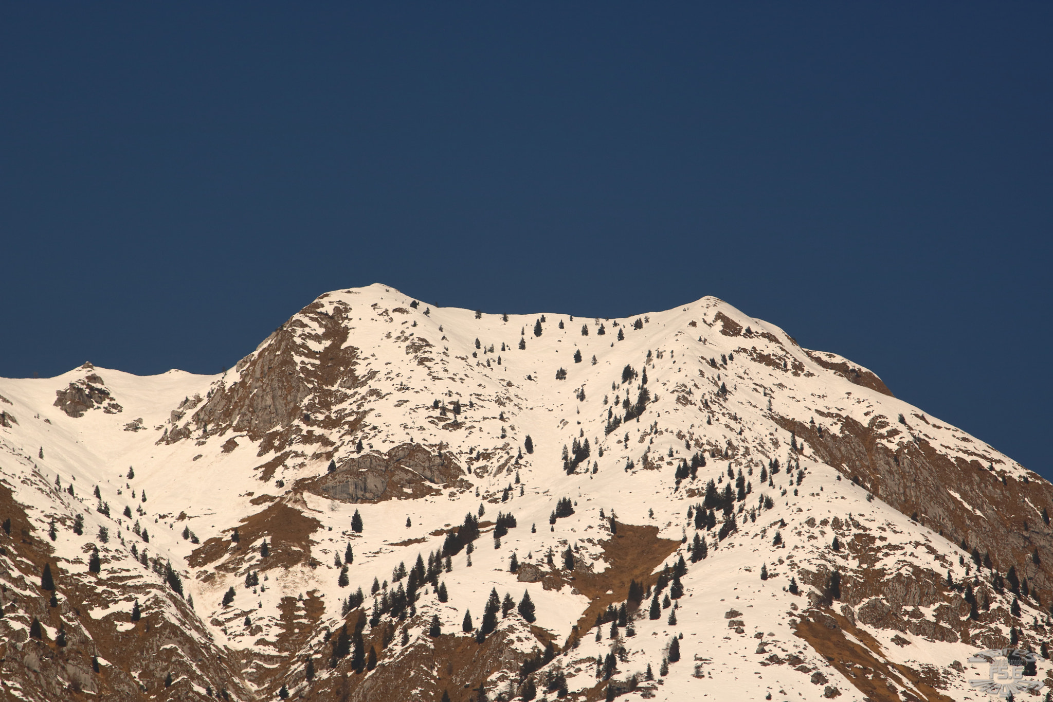 Canon EF 70-200mm F2.8L USM sample photo