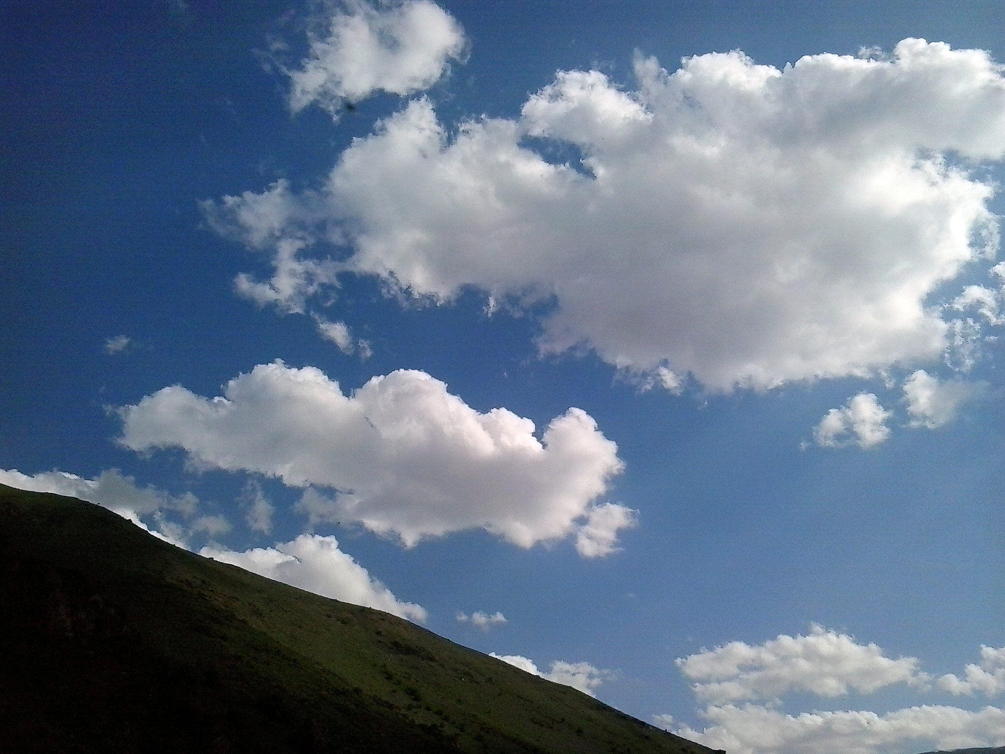 Samsung Galaxy Young sample photo. 26976354083.jpg photography