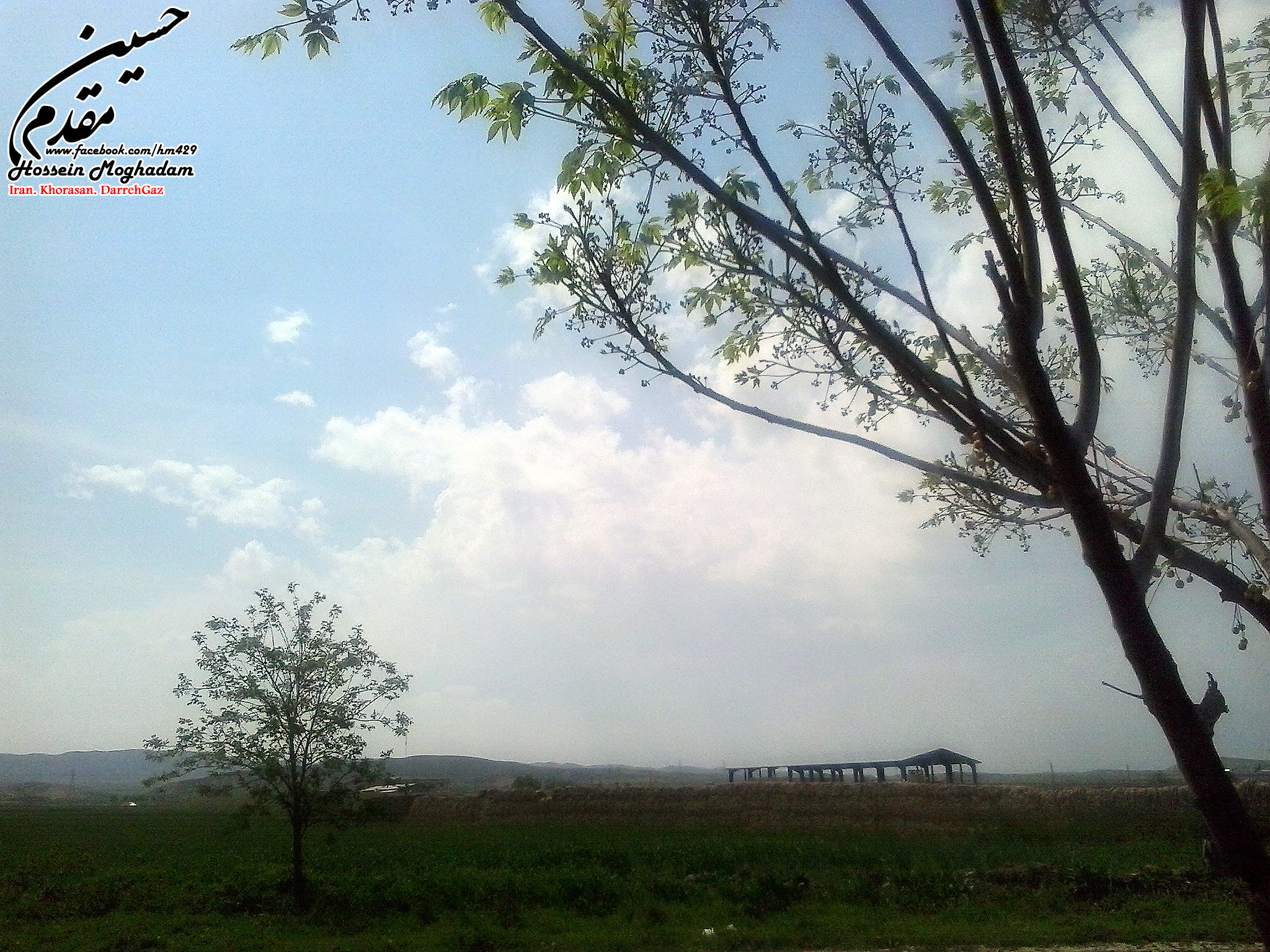 Samsung Galaxy Young sample photo. 27512474581.jpg photography