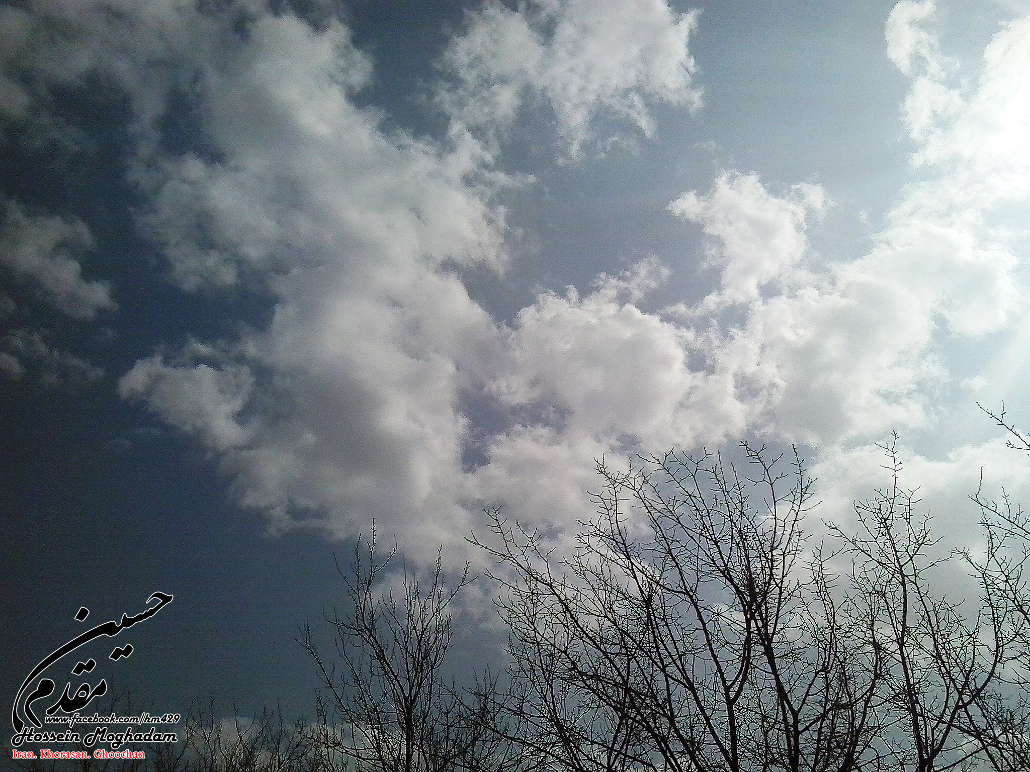 Samsung Galaxy Young sample photo. 27511575391.jpg photography