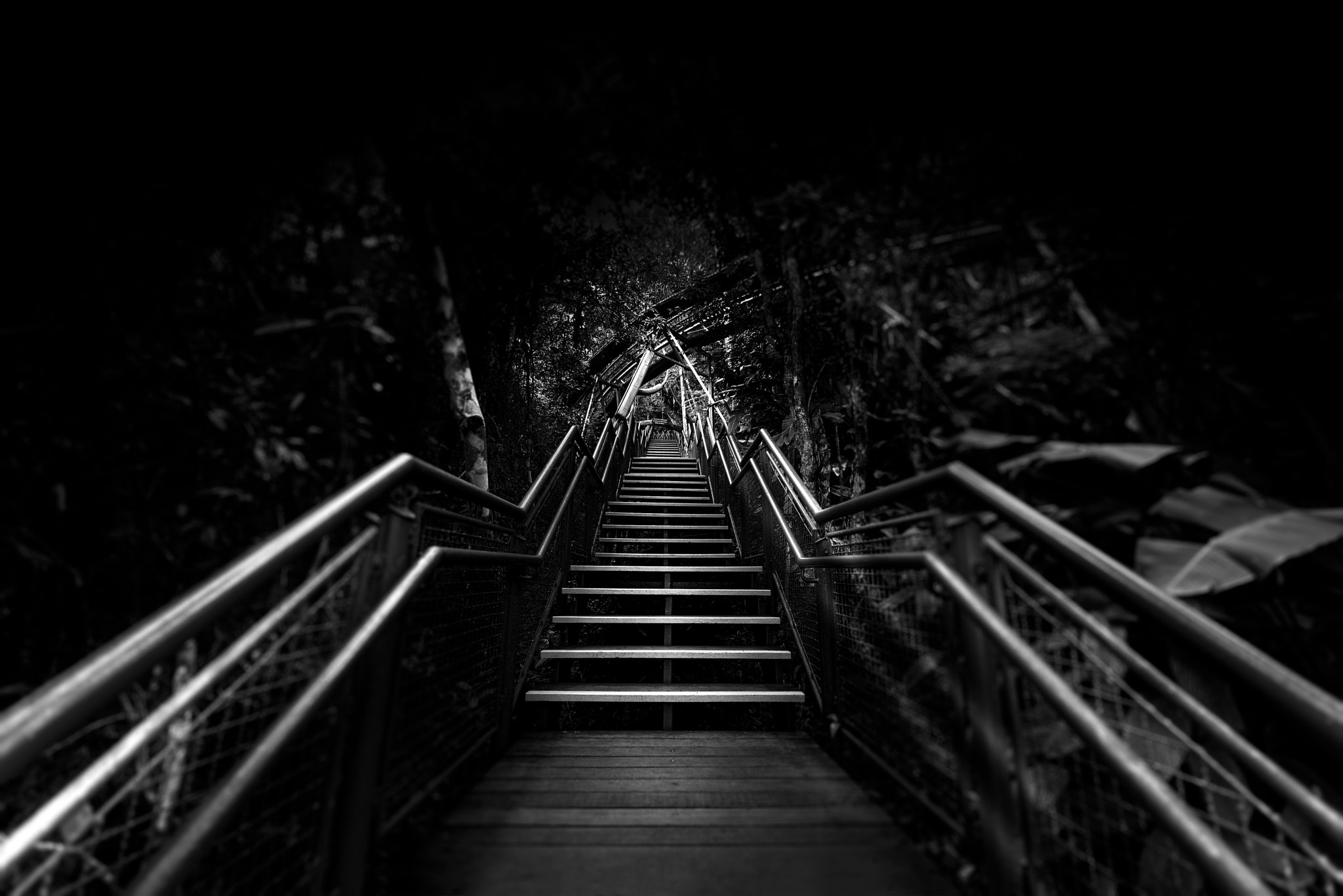 Nikon AF Nikkor 14mm F2.8D ED sample photo. Stairs photography