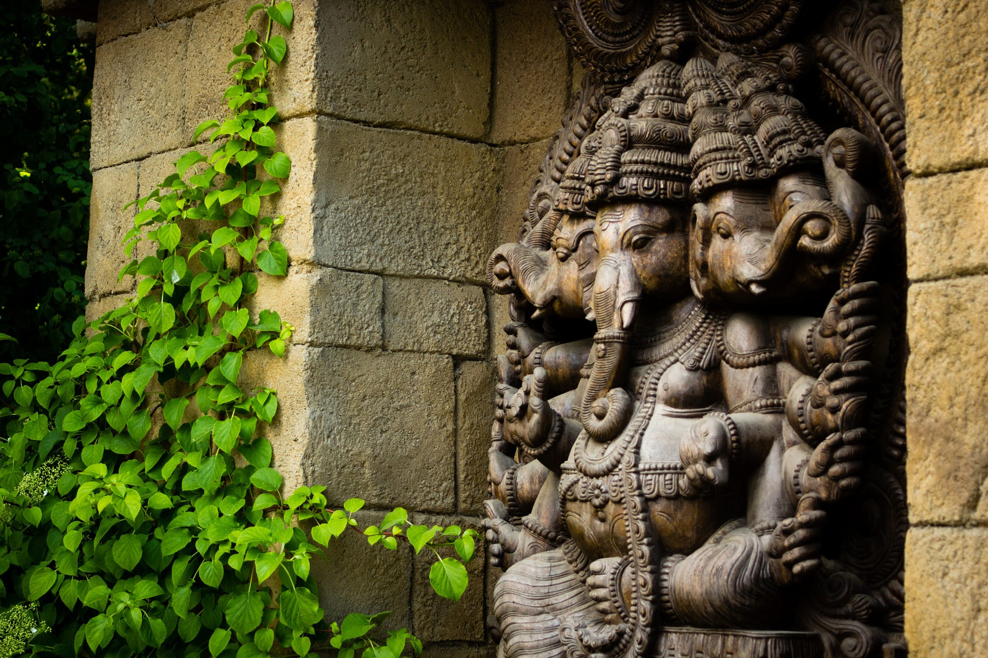 Canon EF 28-80mm f/3.5-5.6 USM sample photo. * photography