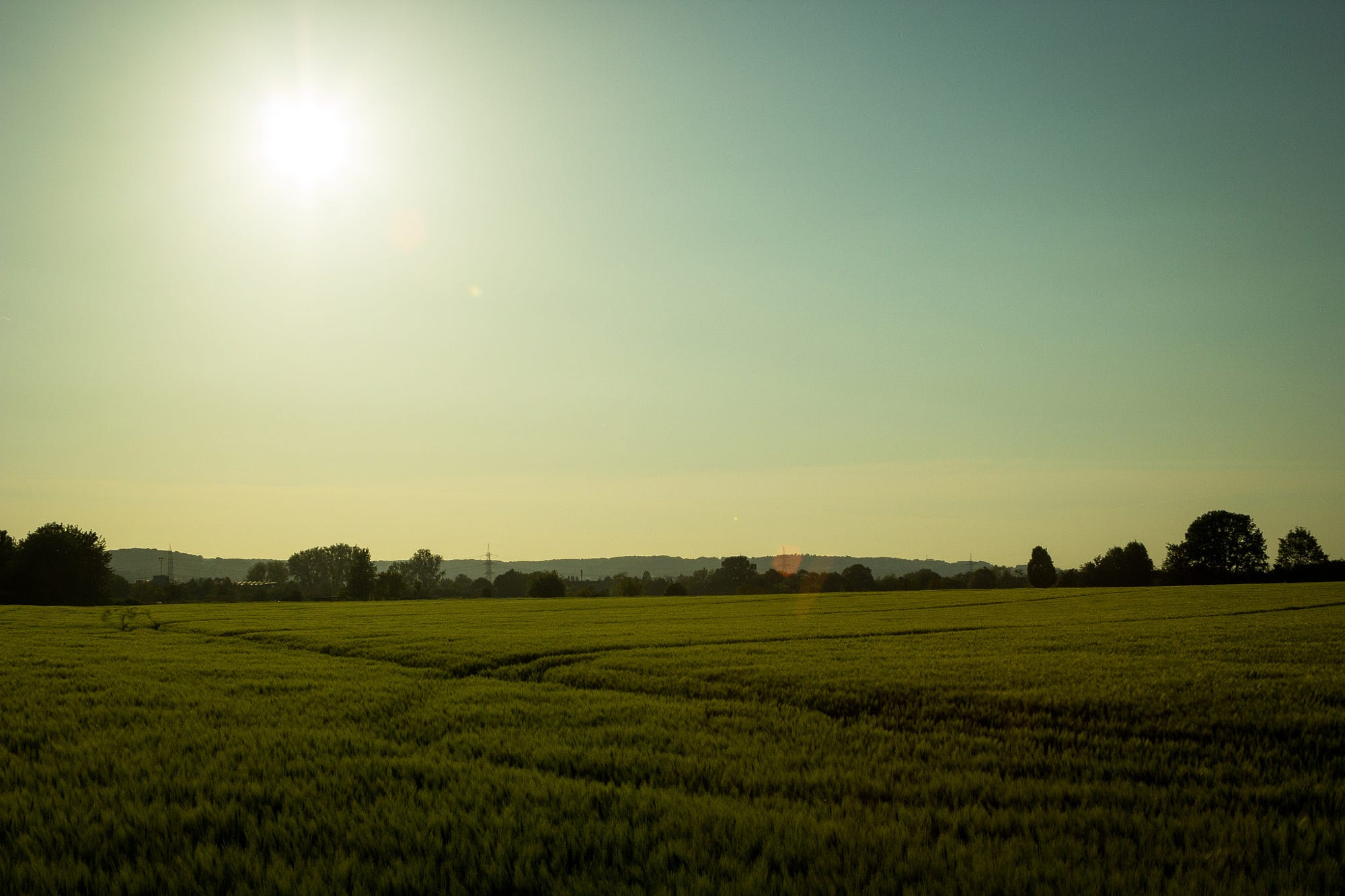 Canon EF 28-80mm f/3.5-5.6 USM sample photo. * photography