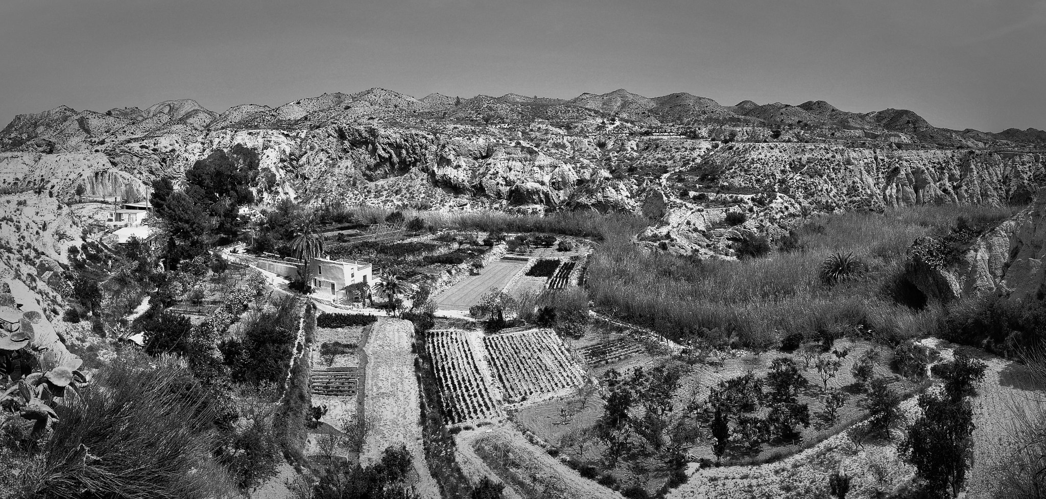 Nikon D300 sample photo. Monnegre photography