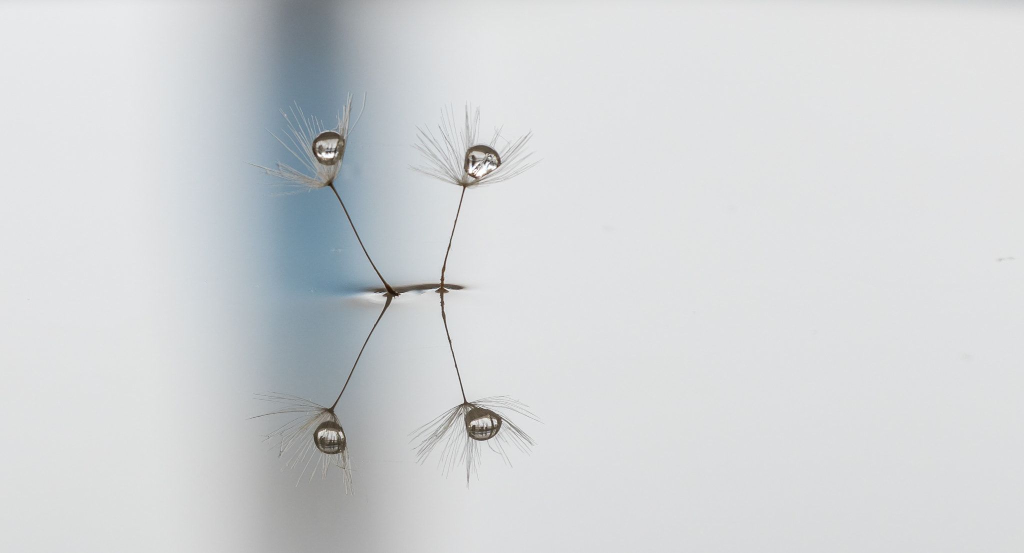 Canon EF 70-300mm F4-5.6L IS USM sample photo. Droplets - white photography
