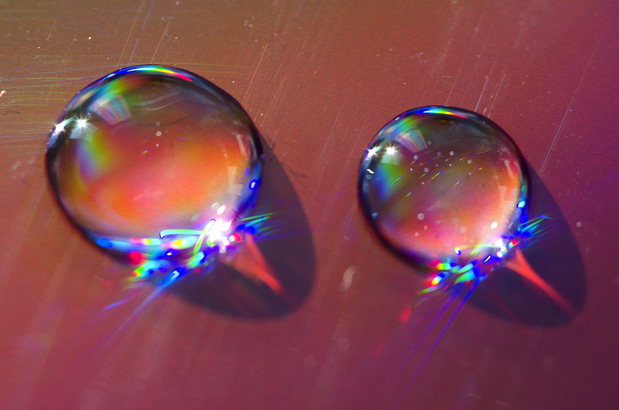 Sigma 150mm F2.8 EX DG Macro HSM sample photo. Rainbow drops photography