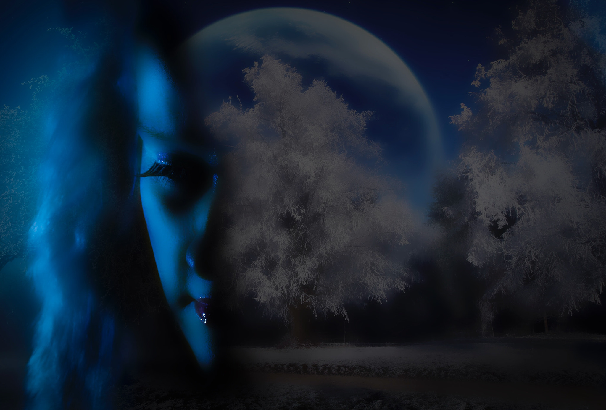 Nikon D500 sample photo. Full moon portrait composite photography