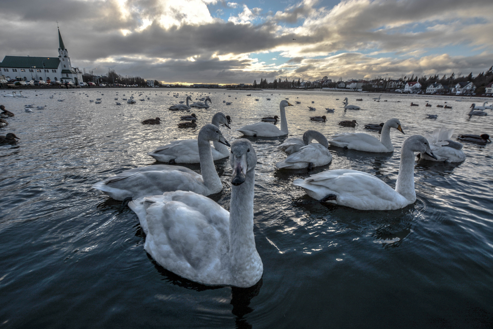 Nikon D5200 + Sigma 10-20mm F3.5 EX DC HSM sample photo. Curiosity photography