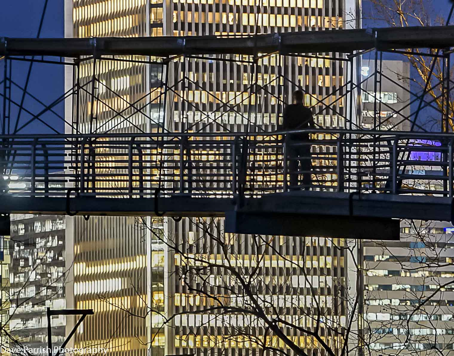Sony FE 70-200mm F4 G OSS sample photo. Viewpoint photography