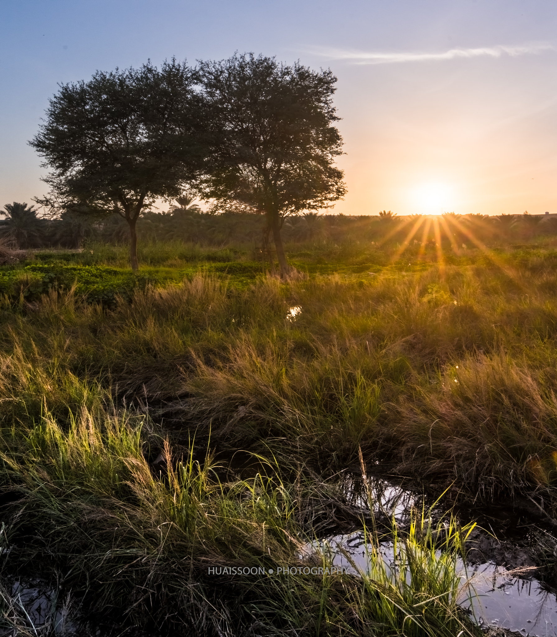 Tokina AT-X Pro 11-16mm F2.8 DX sample photo. Sun star photography