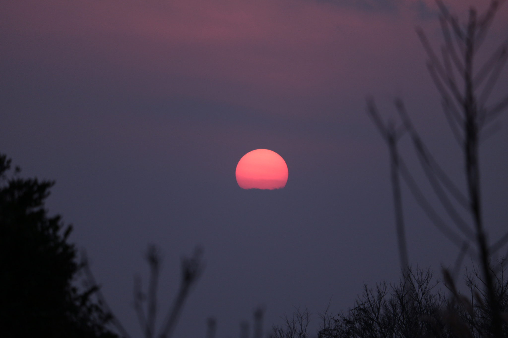 Canon EOS 750D (EOS Rebel T6i / EOS Kiss X8i) + Canon EF-S 55-250mm F4-5.6 IS STM sample photo. Sunset photography