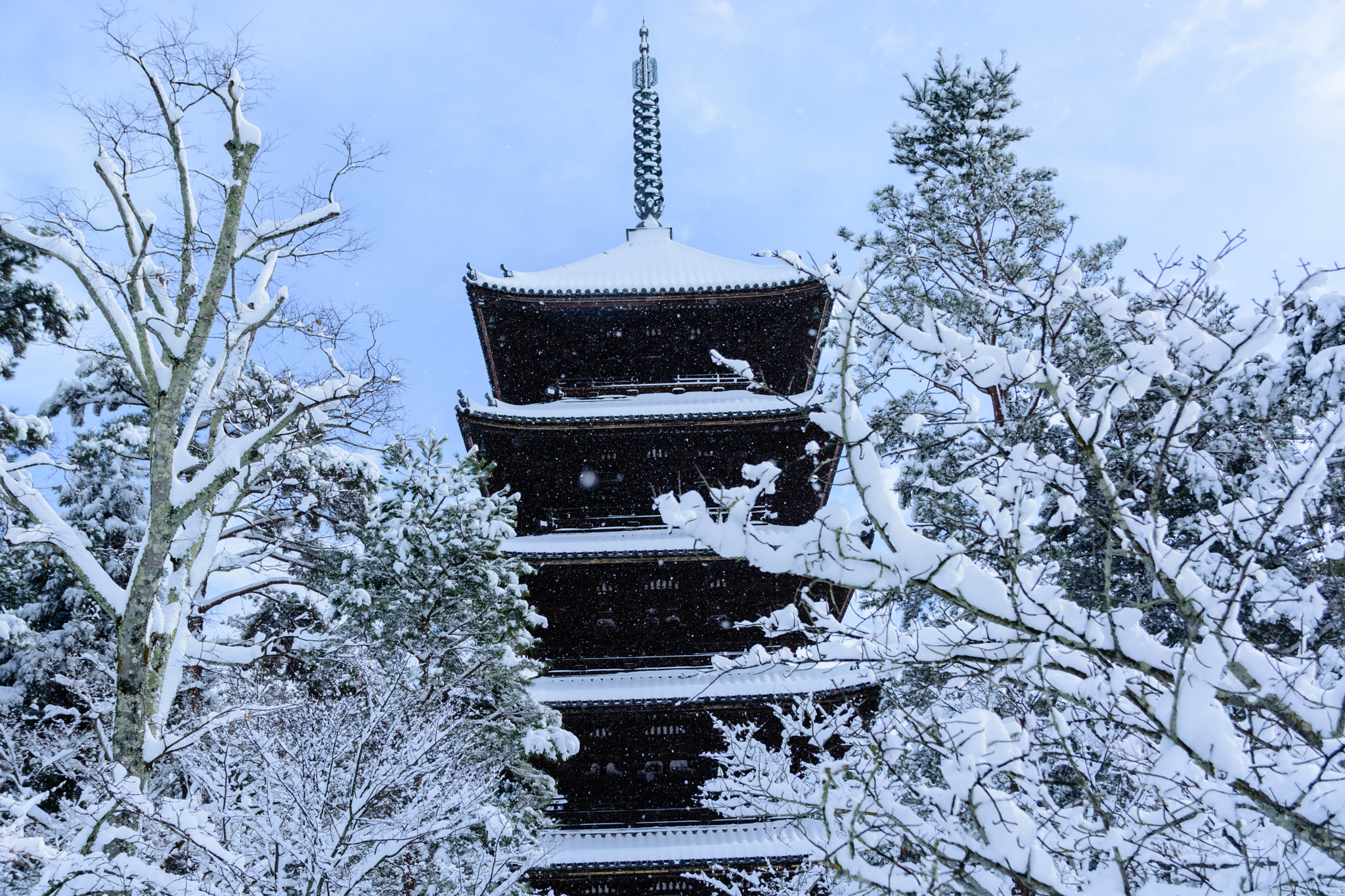Sigma 18-200mm F3.5-6.3 II DC OS HSM sample photo. 仁和寺五重塔 photography