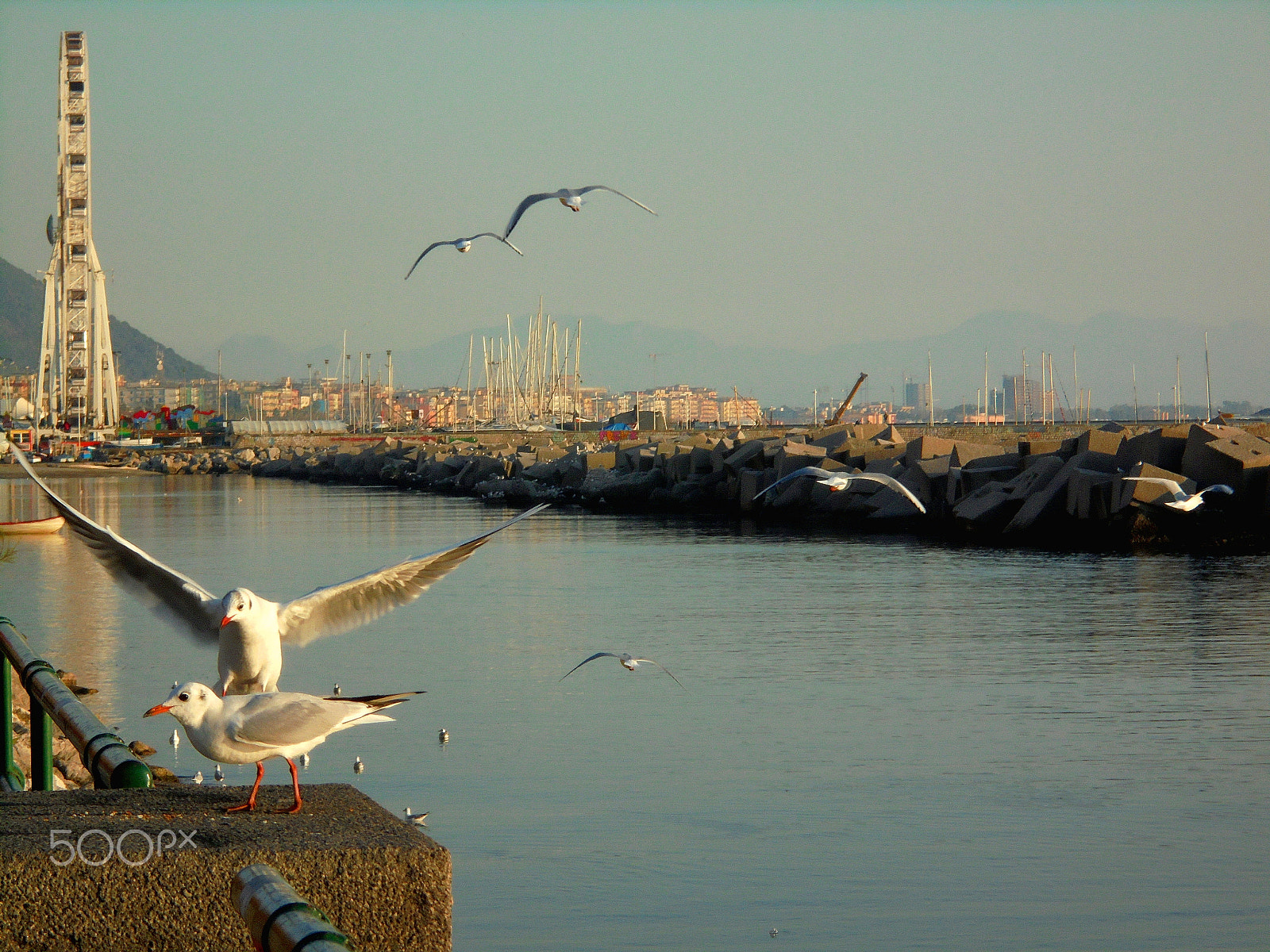 Sony Cyber-shot DSC-W810 sample photo. Seafront of salerno photography