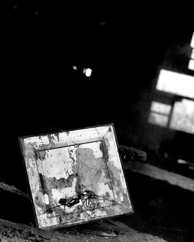 Kodak DCS Pro 14nx sample photo. Mostra fotografica"tracce e memoria"manifestazione venti contrari. photography