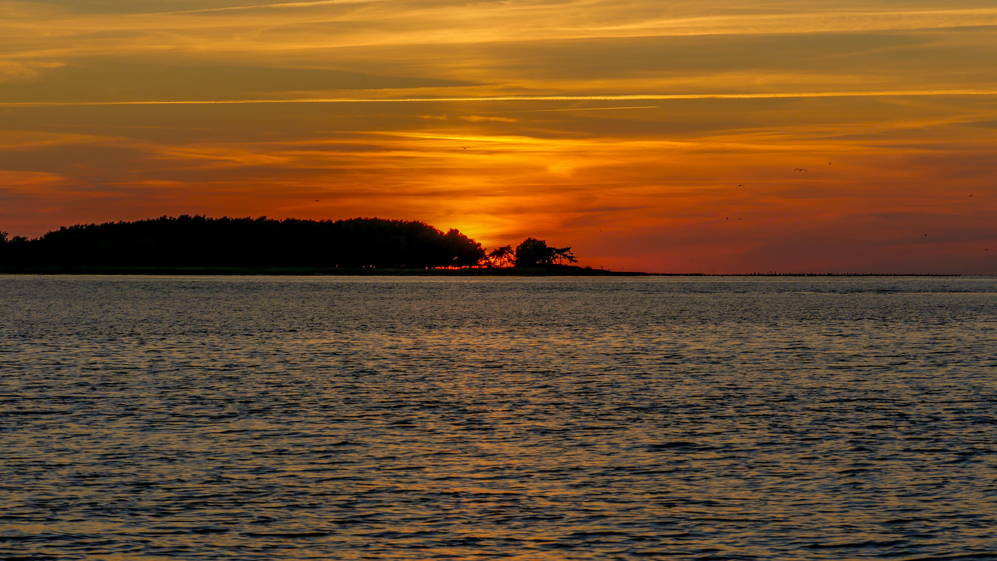 Panasonic Lumix DMC-GH4 sample photo. Darsser ort photography