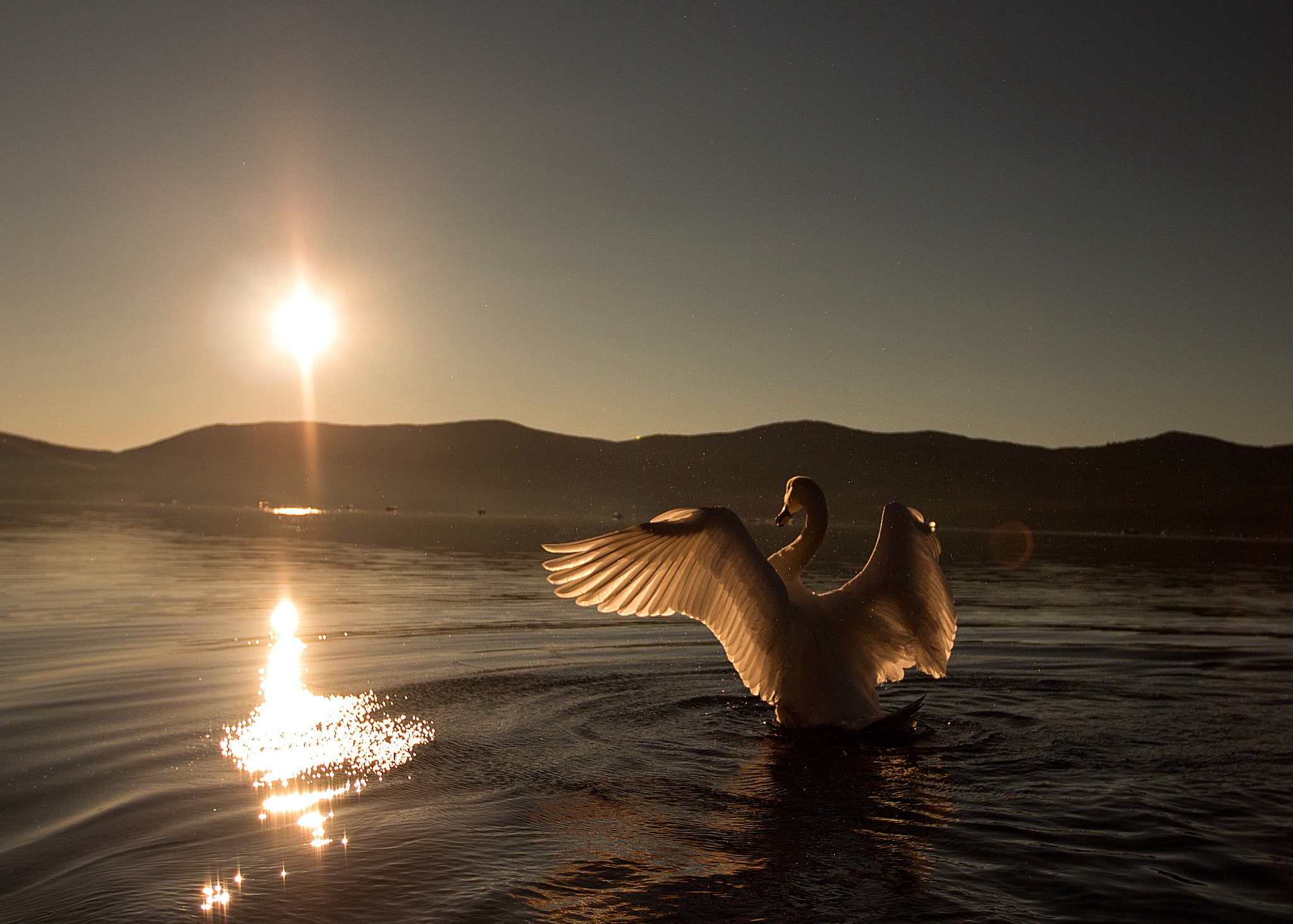 Canon EOS 650D (EOS Rebel T4i / EOS Kiss X6i) sample photo. Morning sun photography