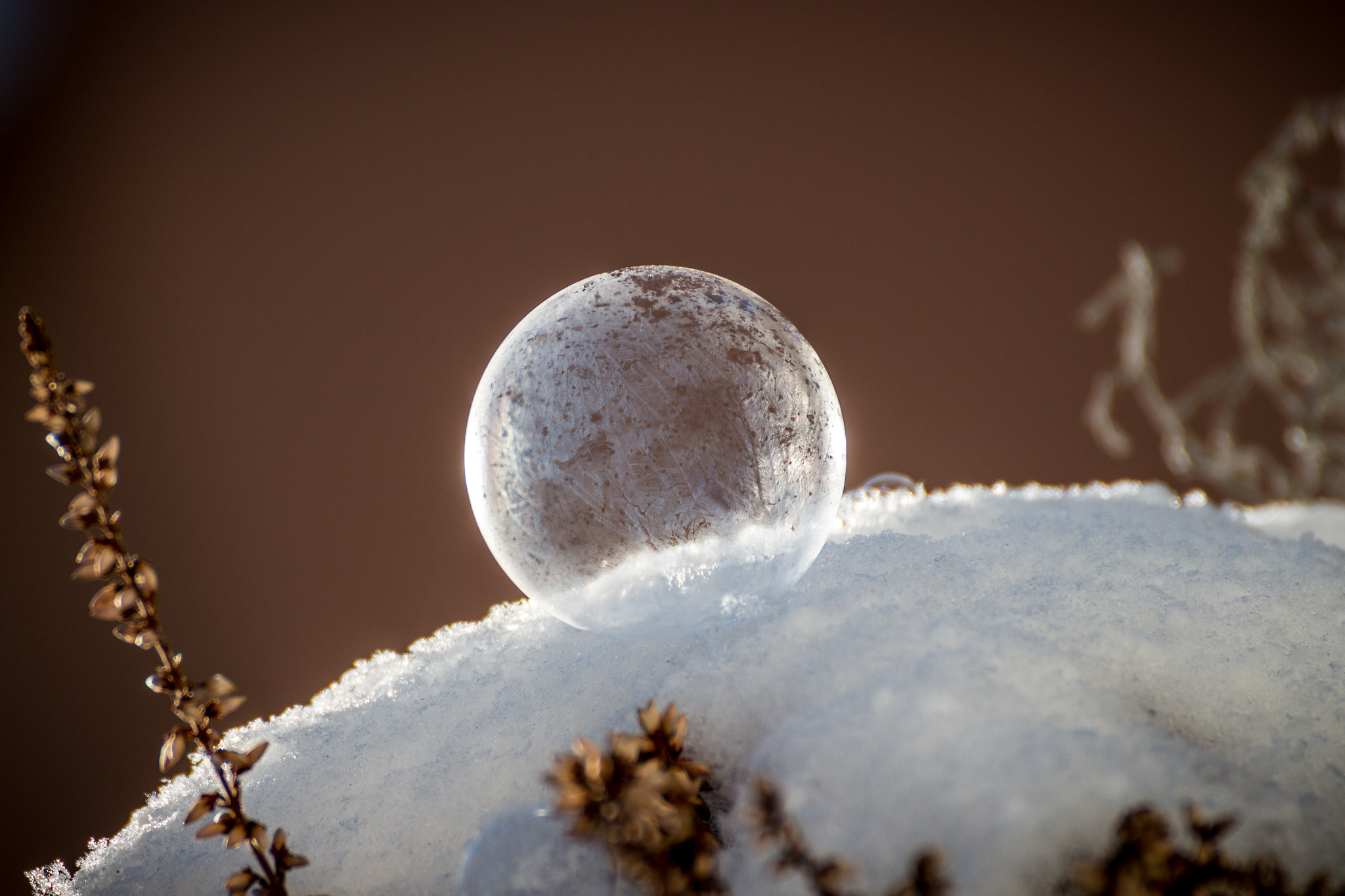 Canon EOS 100D (EOS Rebel SL1 / EOS Kiss X7) sample photo. Frozen soapbubble photography