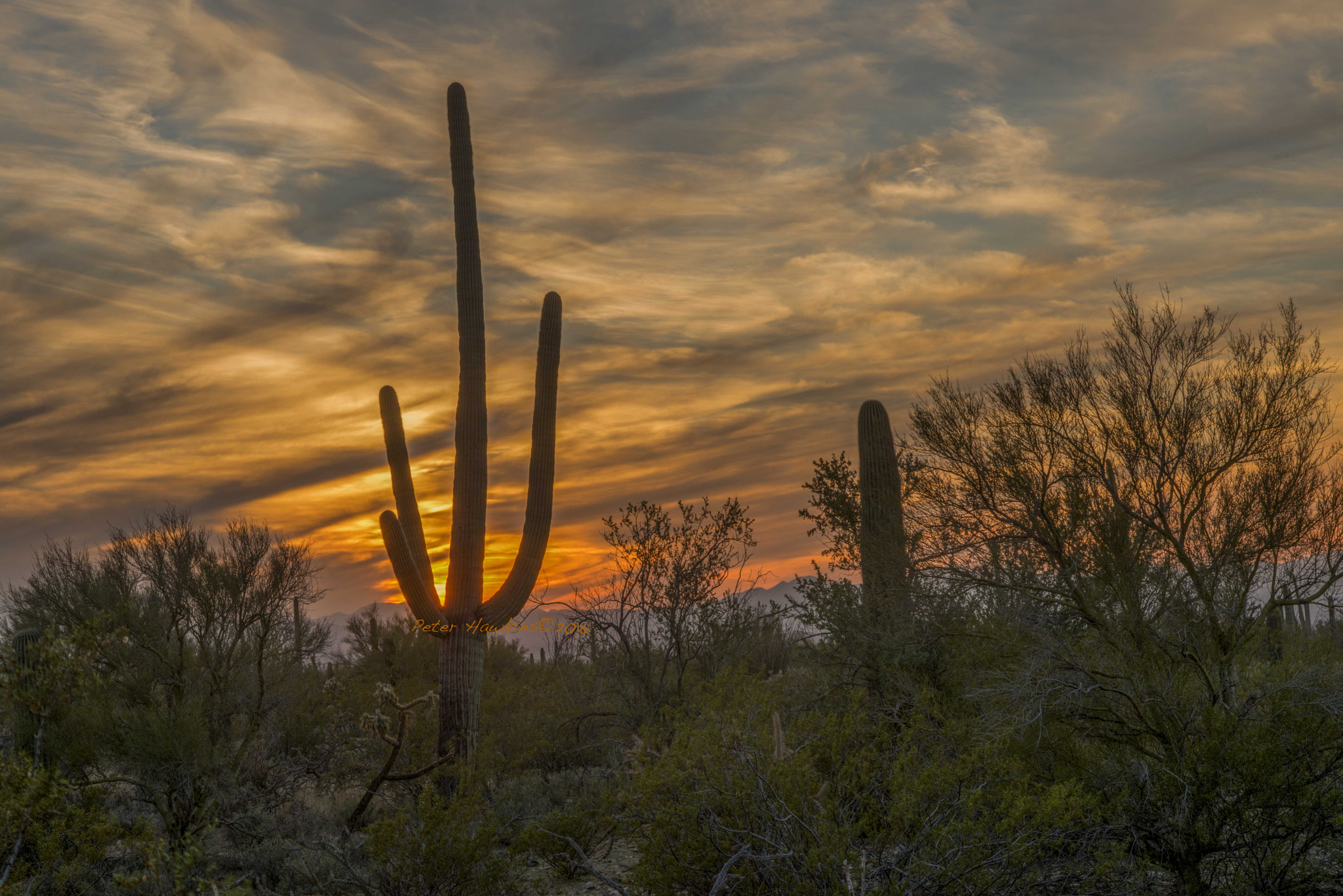 Nikon D800 + Nikon AF-S Nikkor 28-70mm F2.8 ED-IF sample photo. Sonoran sunset photography