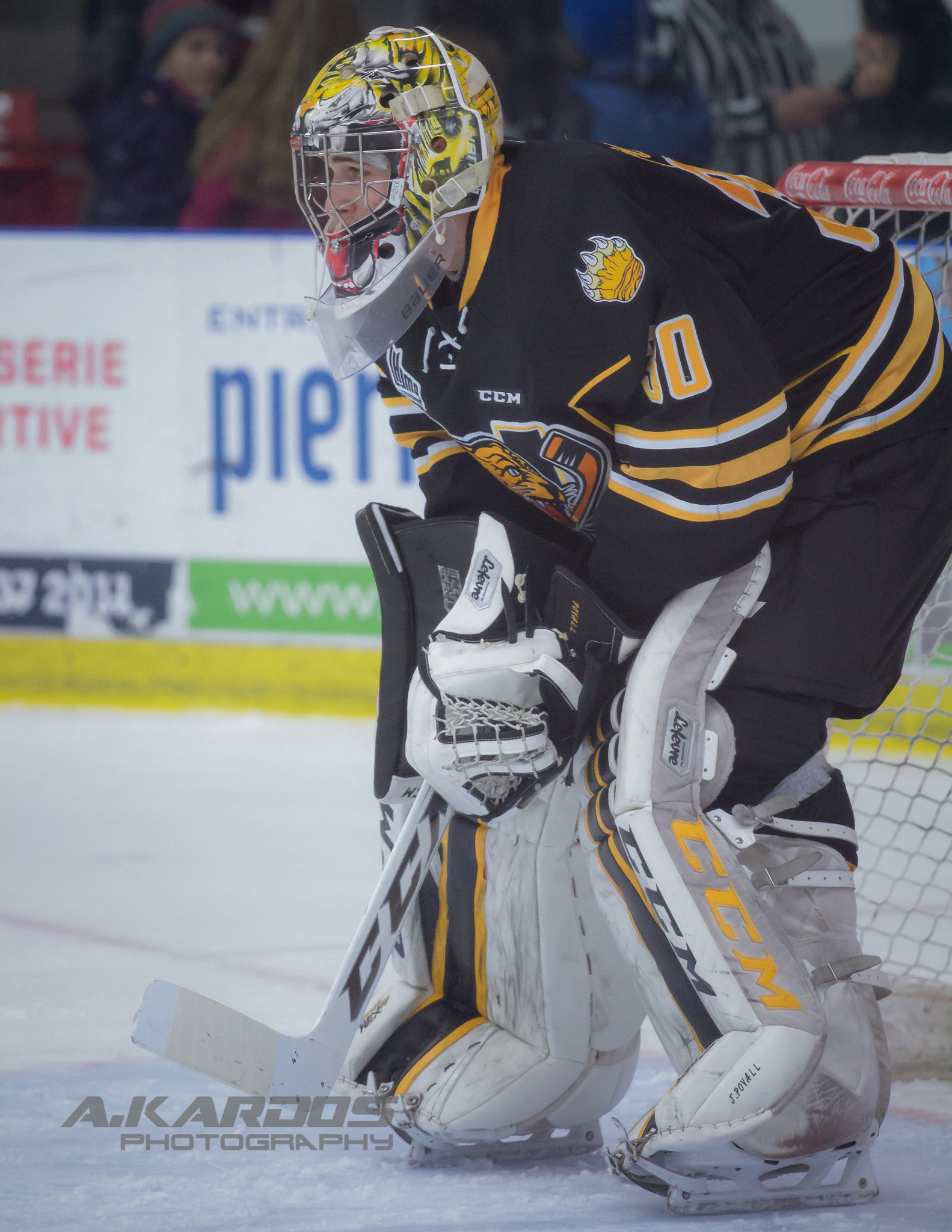 Canon EOS 700D (EOS Rebel T5i / EOS Kiss X7i) + Canon EF 70-200mm F4L USM sample photo. James povall #30 (victoriaville, tigres) photography