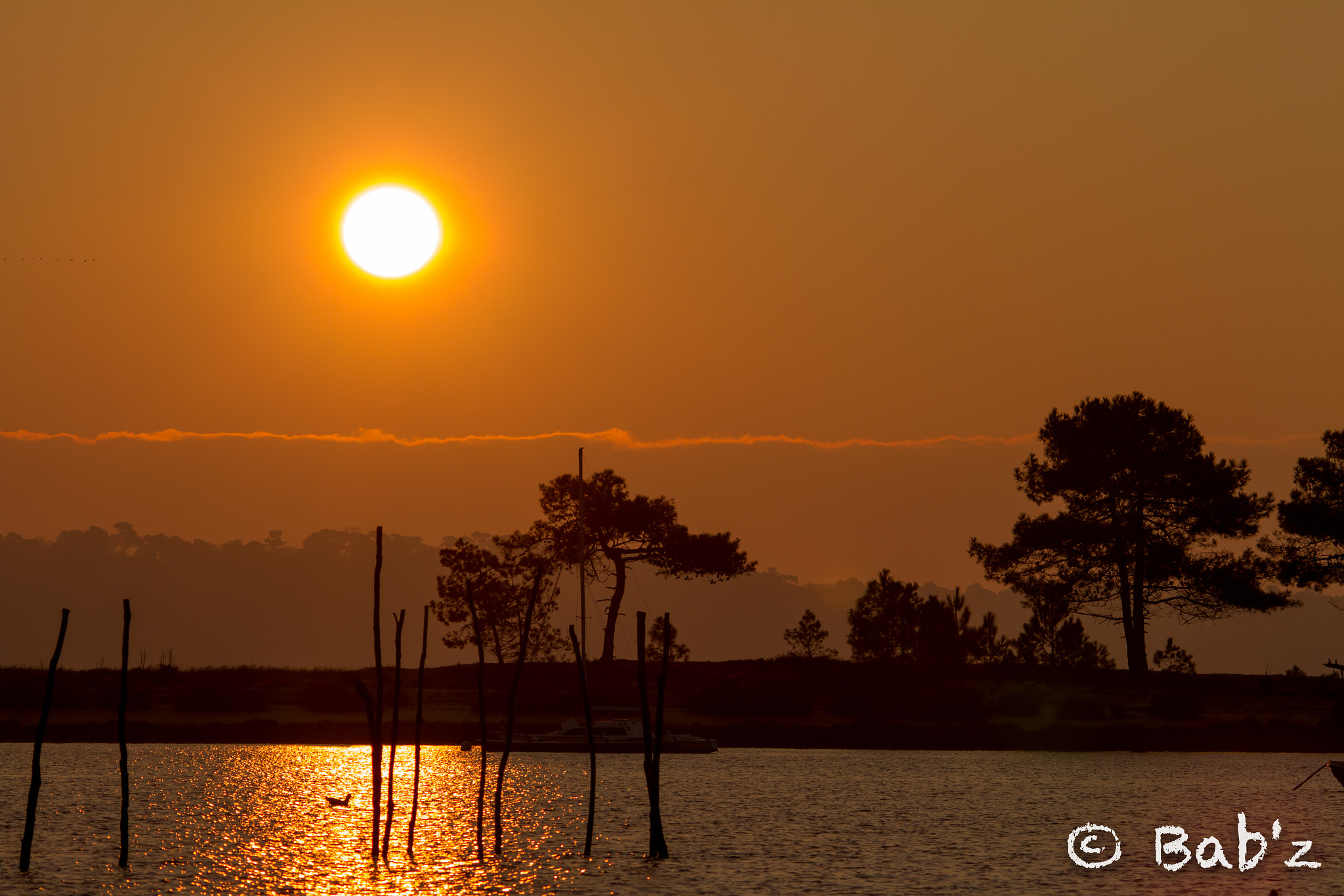 Canon EOS 7D sample photo. Orange sun photography