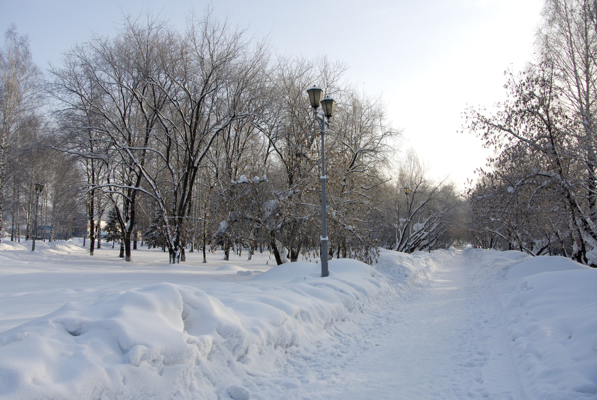 Nikon 1 V1 + Nikon 1 Nikkor VR 10-30mm F3.5-5.6 sample photo. В зимнем парке photography