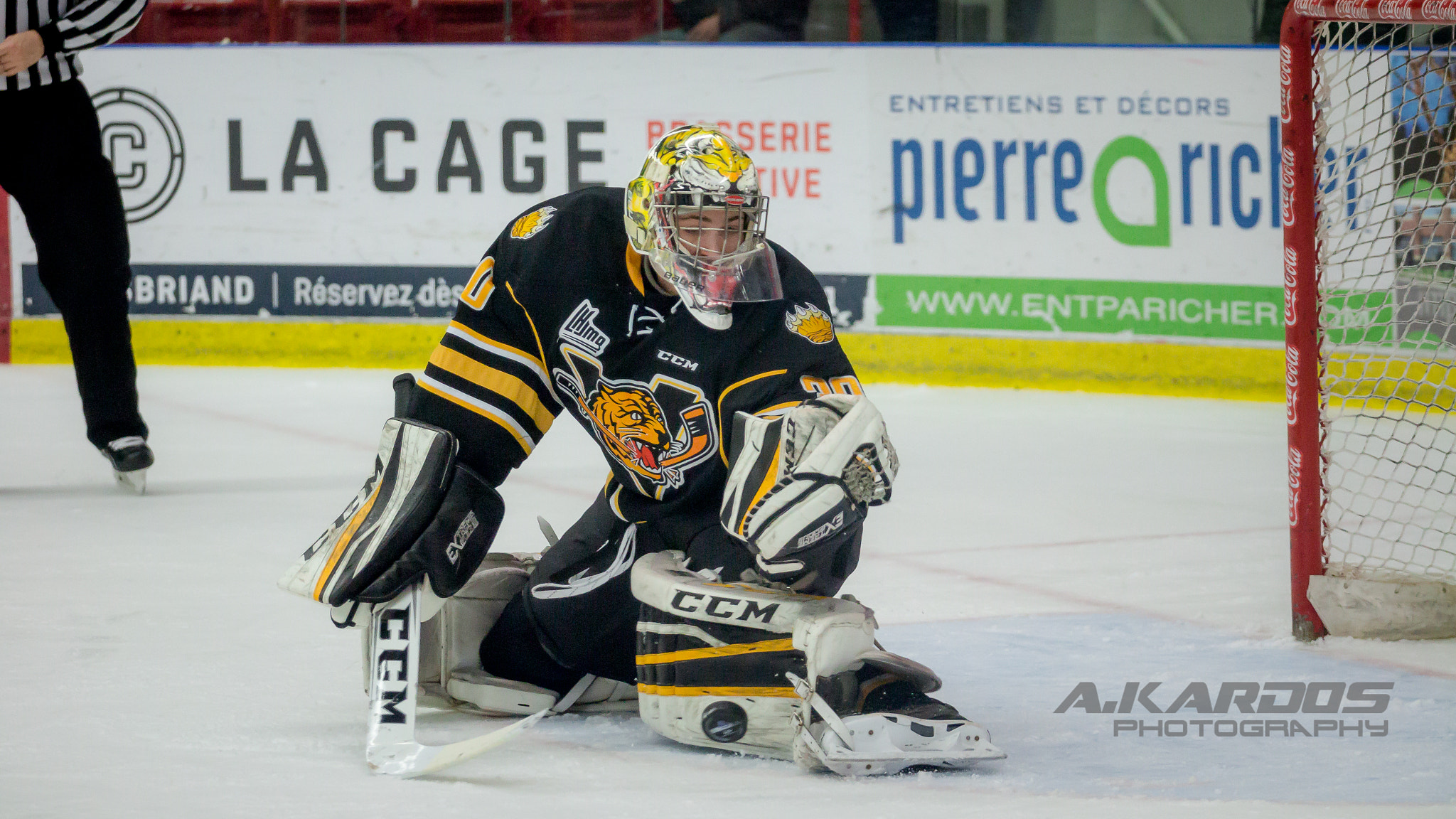 Canon EOS 700D (EOS Rebel T5i / EOS Kiss X7i) + Canon EF 70-200mm F4L USM sample photo. James povall #30 (victoriaville, tigres) photography