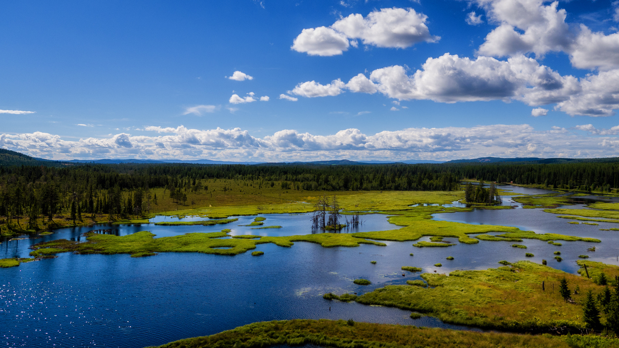 DJI FC550 + OLYMPUS M.12mm F2.0 sample photo. Lake in norway photography