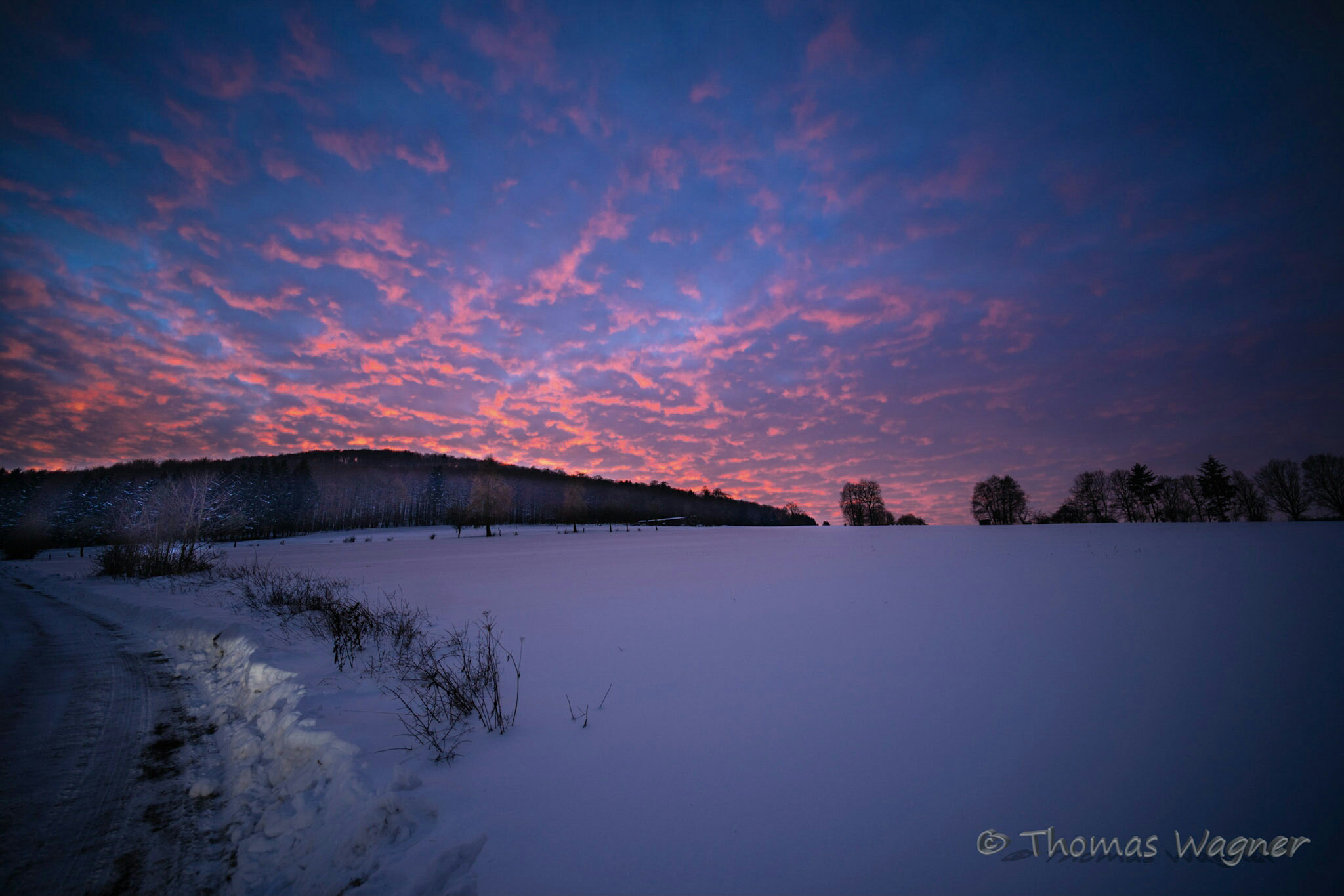 Samyang AF 14mm F2.8 FE sample photo. Landscape "in der röhn" germany 18.1.2016 photography