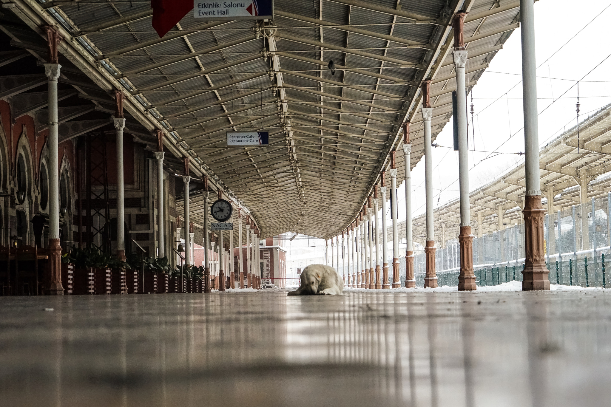 Sony FE 24-240mm F3.5-6.3 OSS sample photo. Istanbul-turkey photography