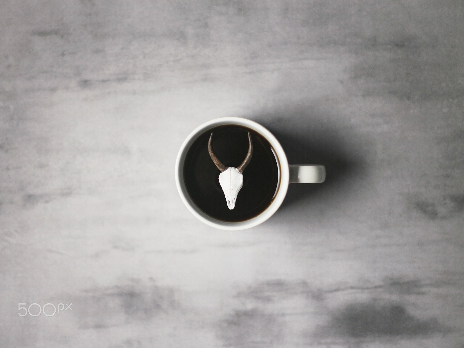 Canon EOS M + Canon EF 50mm F1.8 II sample photo. Antlers coffee photography