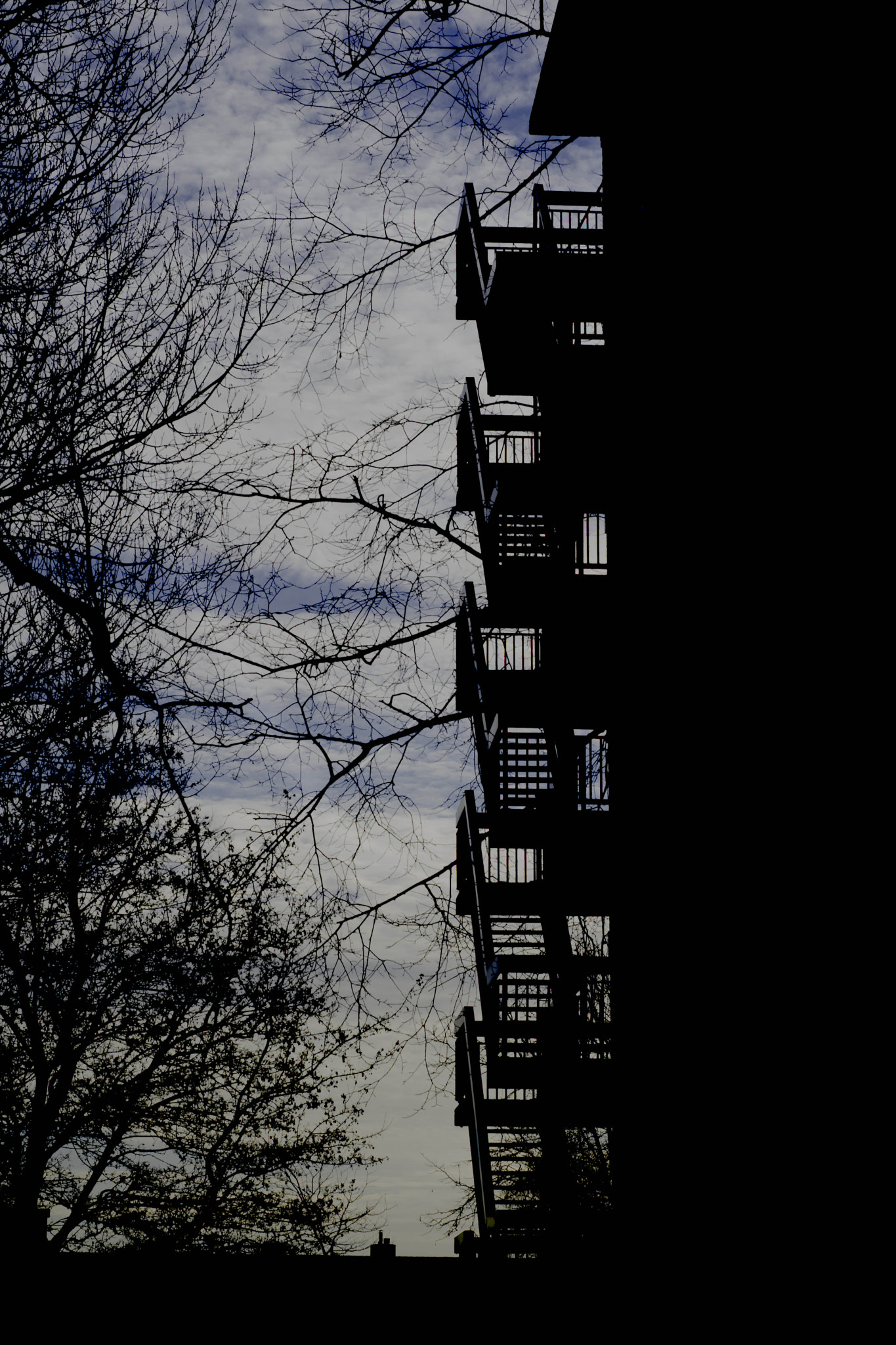 Nikon D5300 + Nikon AF Nikkor 50mm F1.8D sample photo. Stairway to heaven. photography