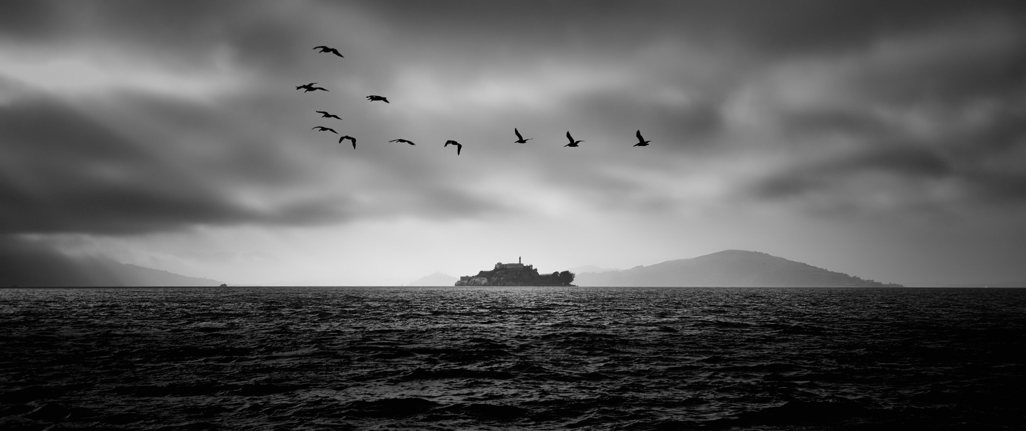 Sigma dp1 Quattro sample photo. Freedom over alcatraz photography