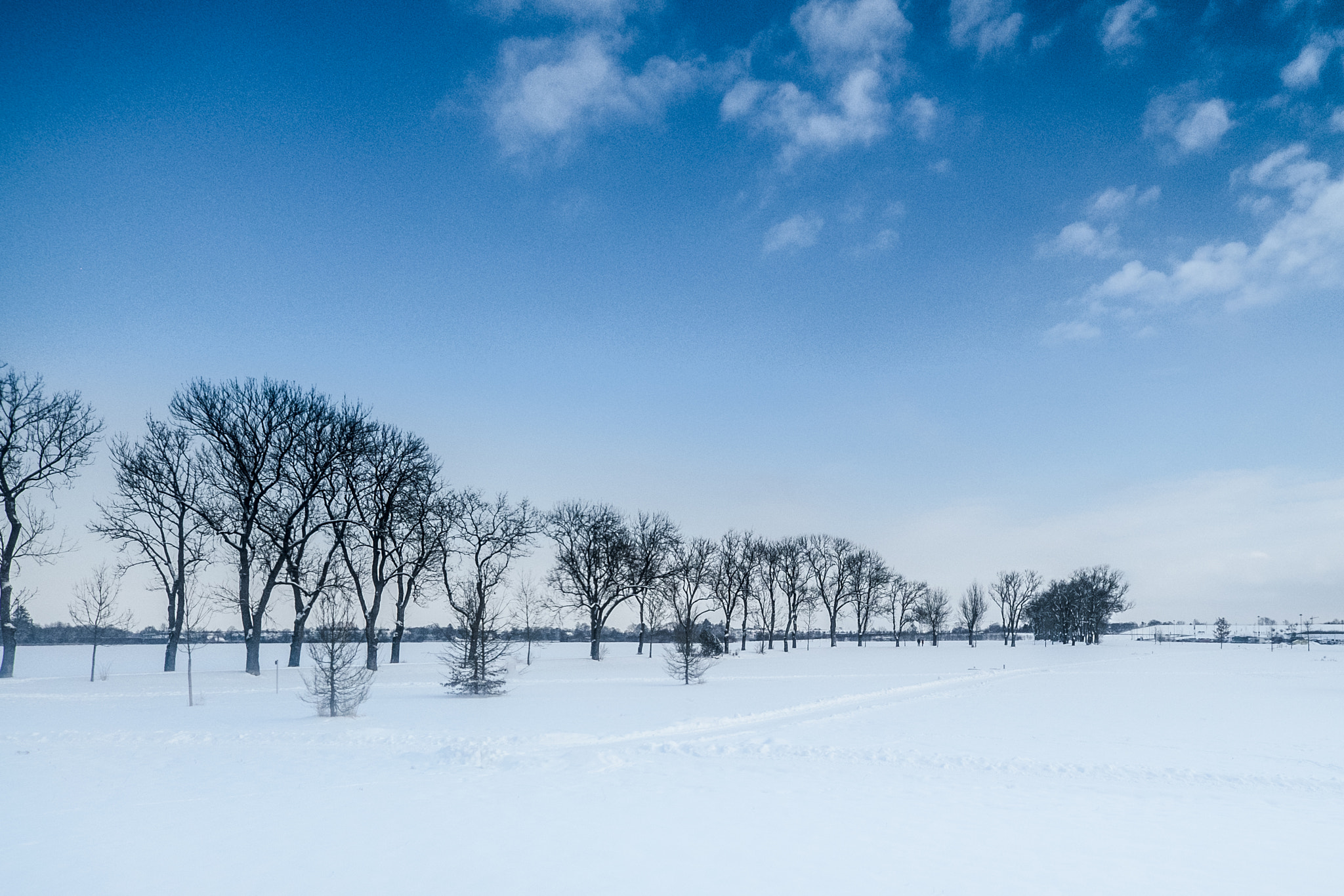 ZEISS Touit 12mm F2.8 sample photo. Winter in munich photography