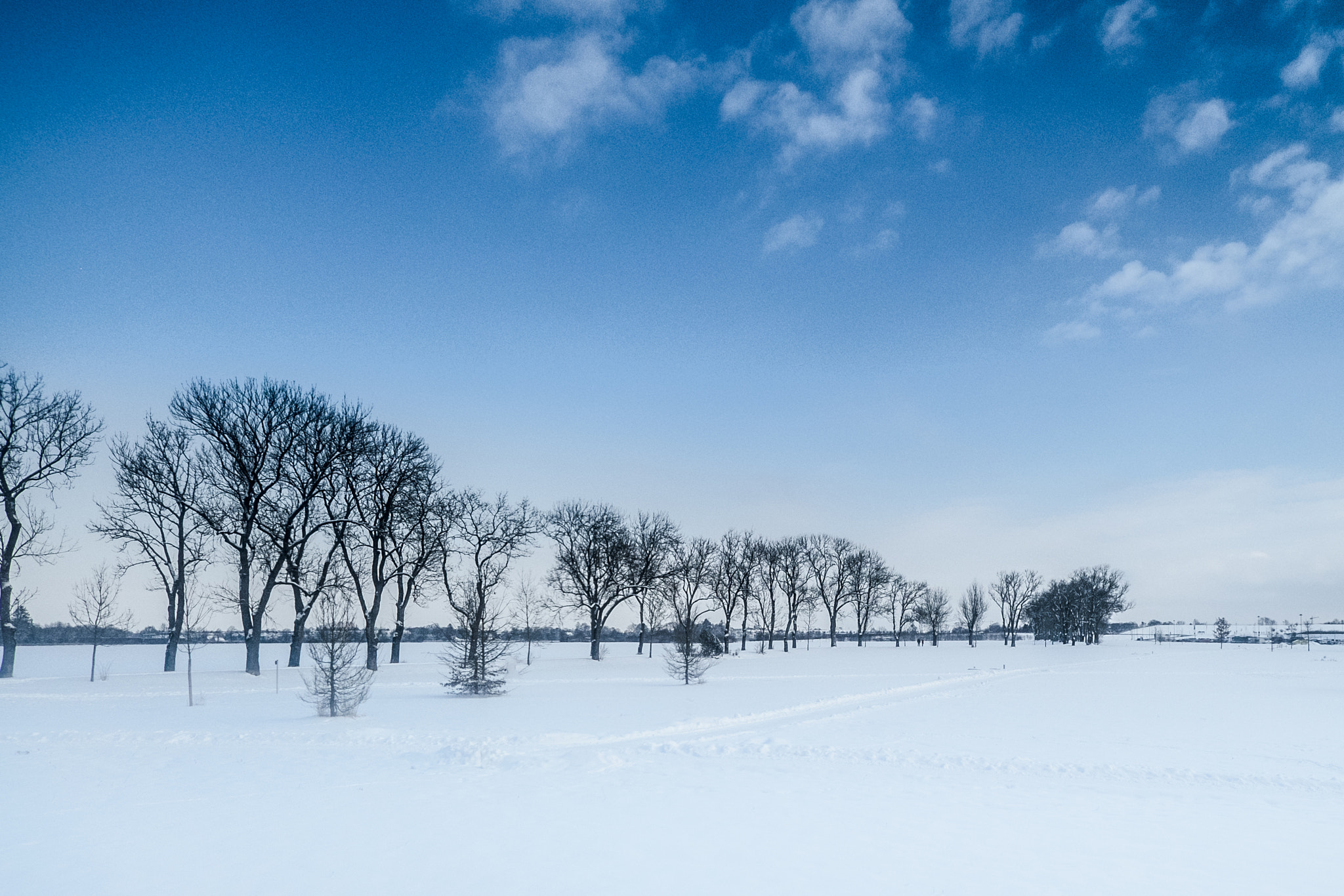 Fujifilm X-T1 + ZEISS Touit 12mm F2.8 sample photo. Winter in munich photography