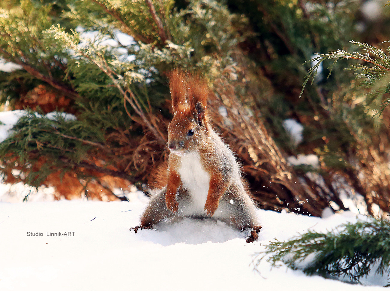 Canon EOS-1D Mark IV sample photo. Huf photography