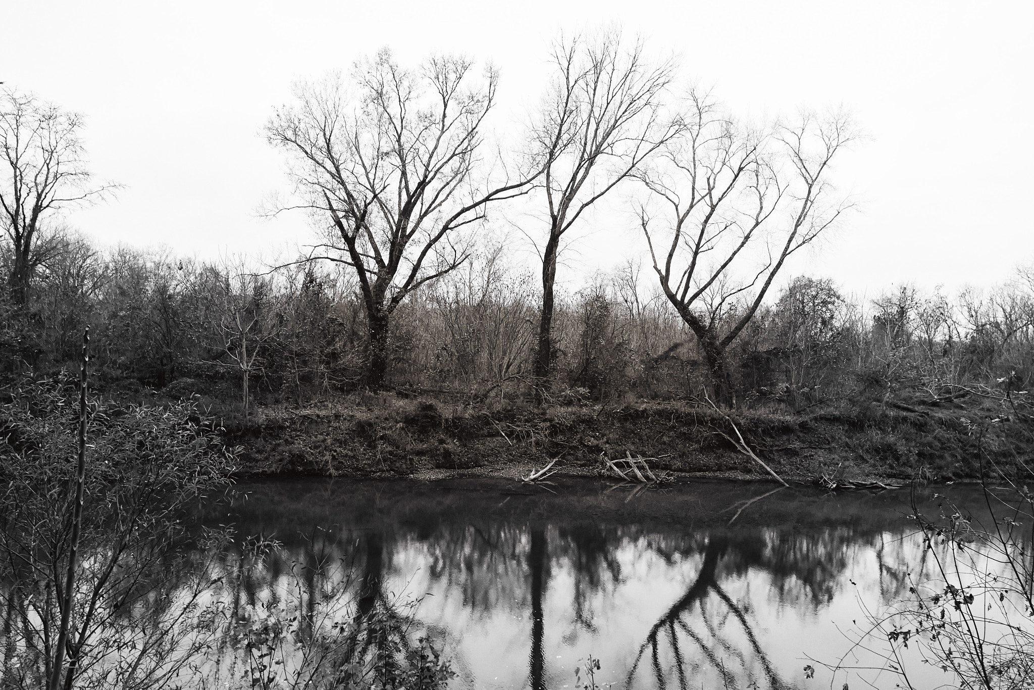 Nikon AF-S Nikkor 20mm F1.8G ED sample photo. Down by the river photography