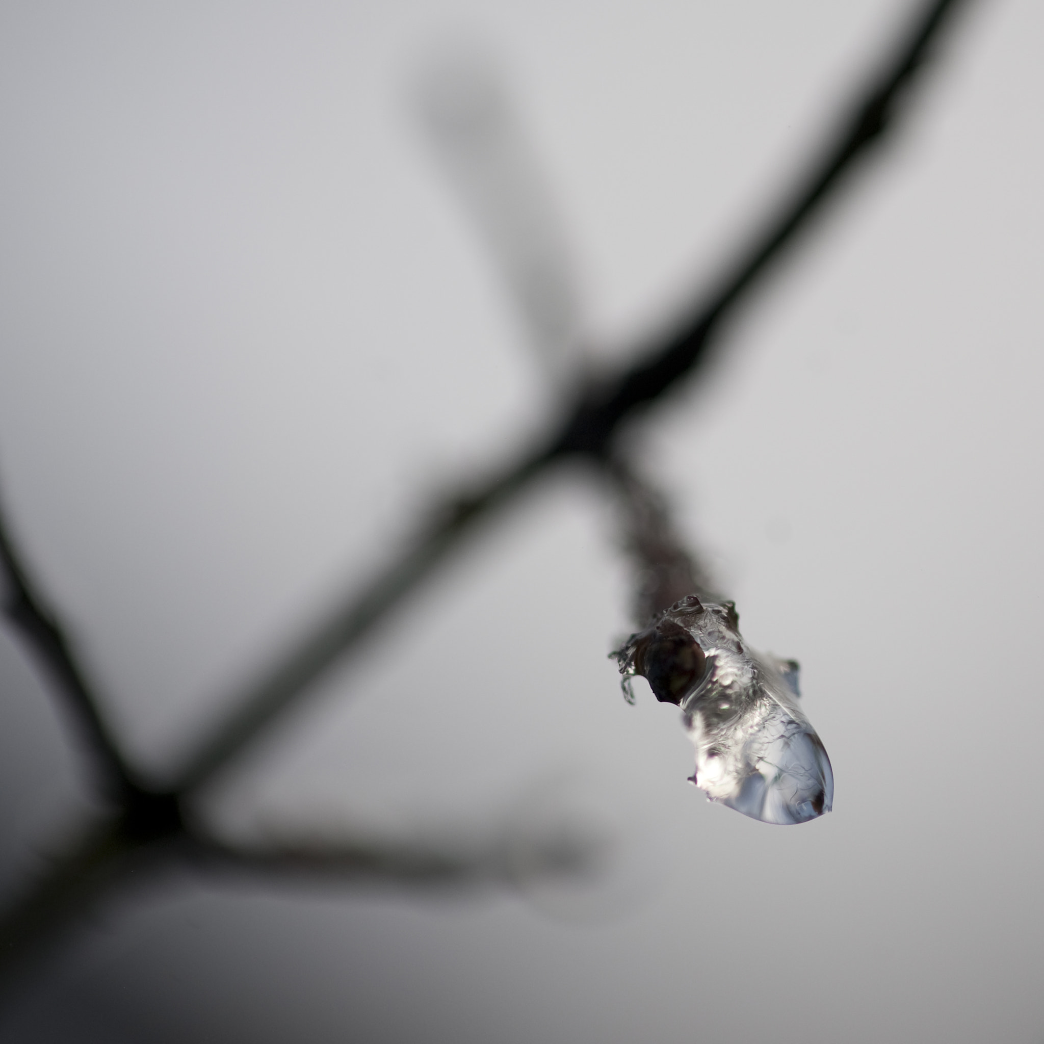 Nikon D3 sample photo. Drop photography