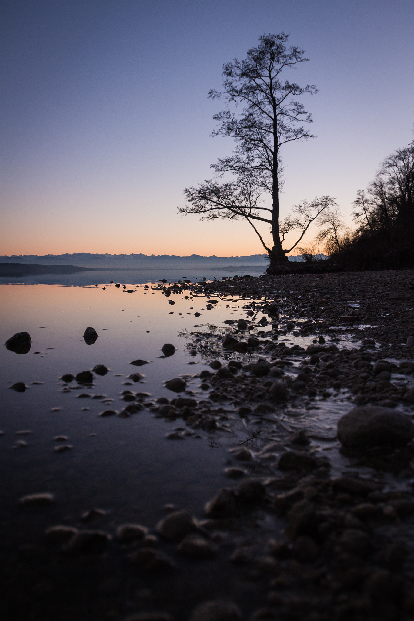 Sigma 18-250mm F3.5-6.3 DC OS HSM sample photo. A lonely tree photography
