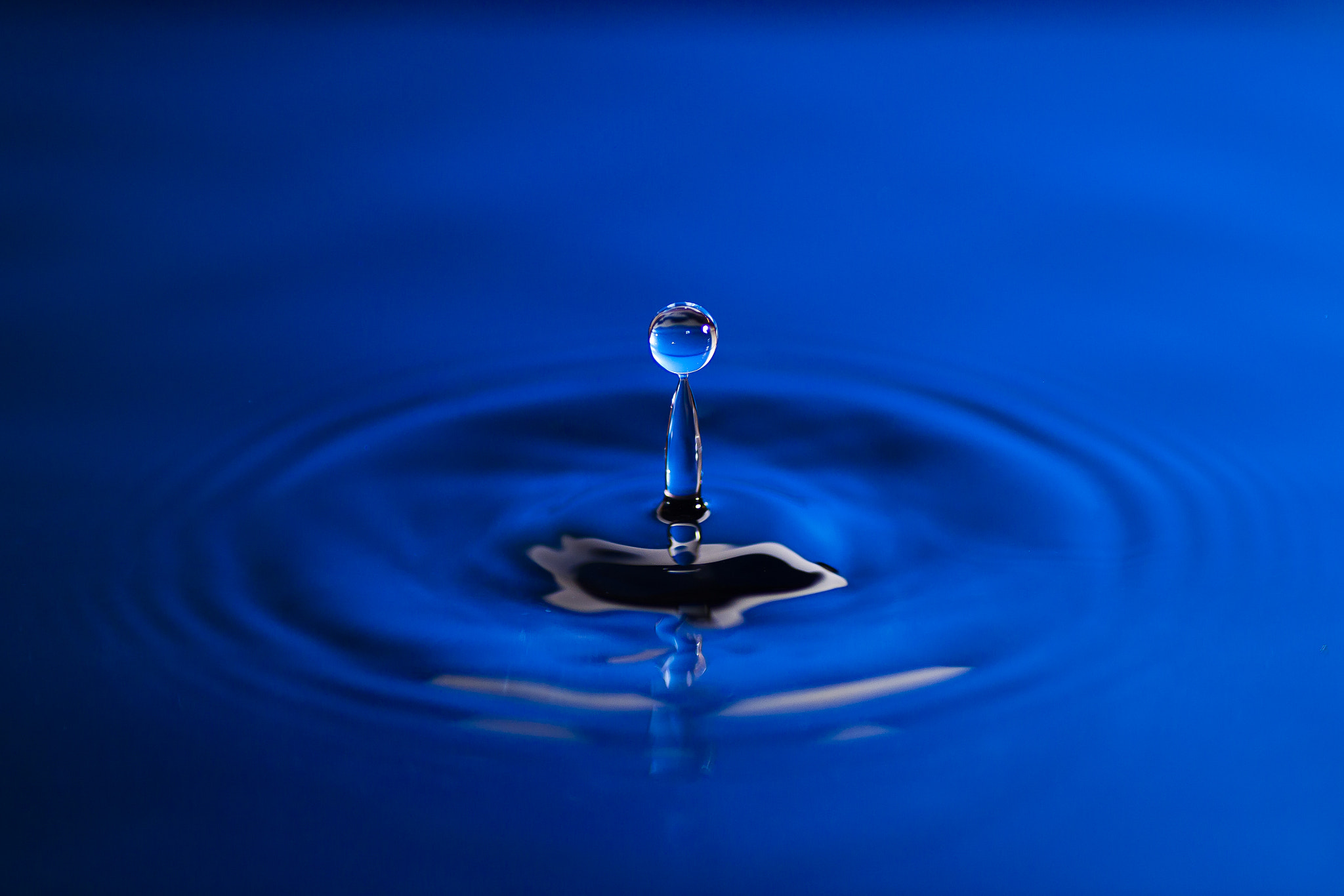 Canon EOS 5D Mark II + Tamron SP AF 90mm F2.8 Di Macro sample photo. Water drop in blue photography