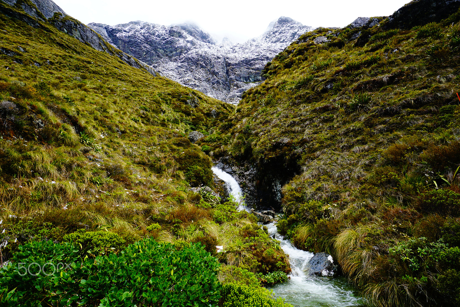 Sony a6000 sample photo. Routeburn track photography