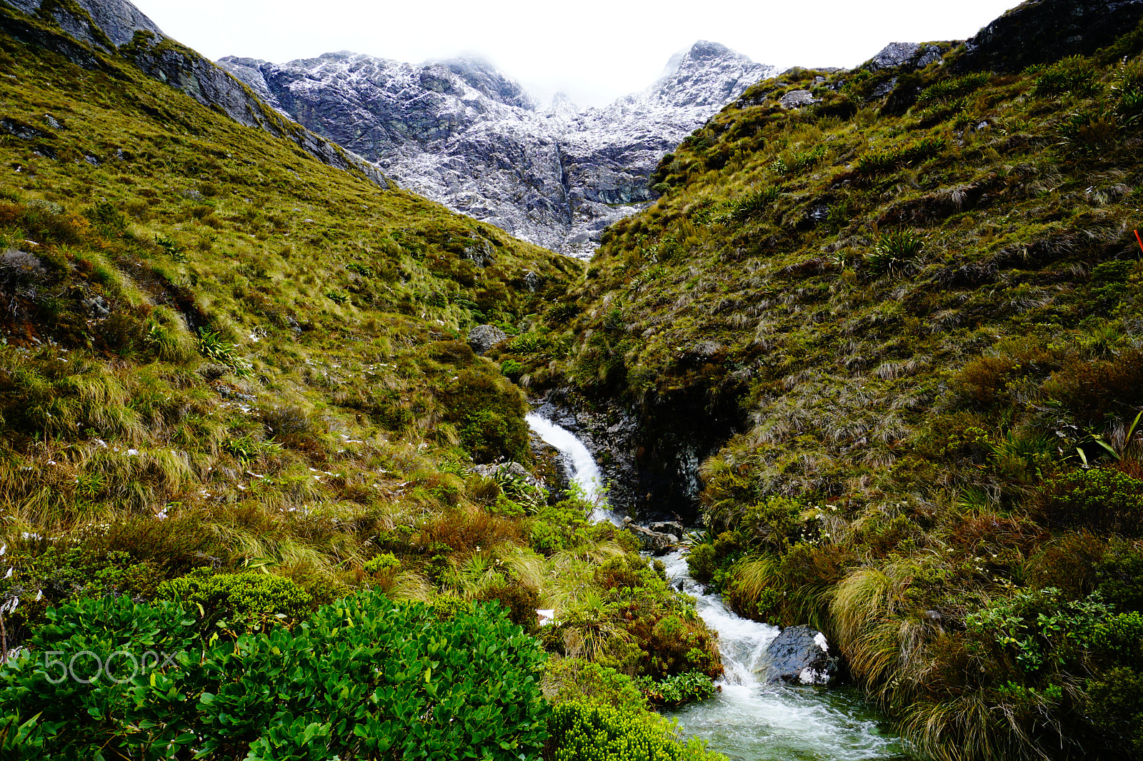 Sony a6000 + Sony E 10-18mm F4 OSS sample photo. Routeburn track photography