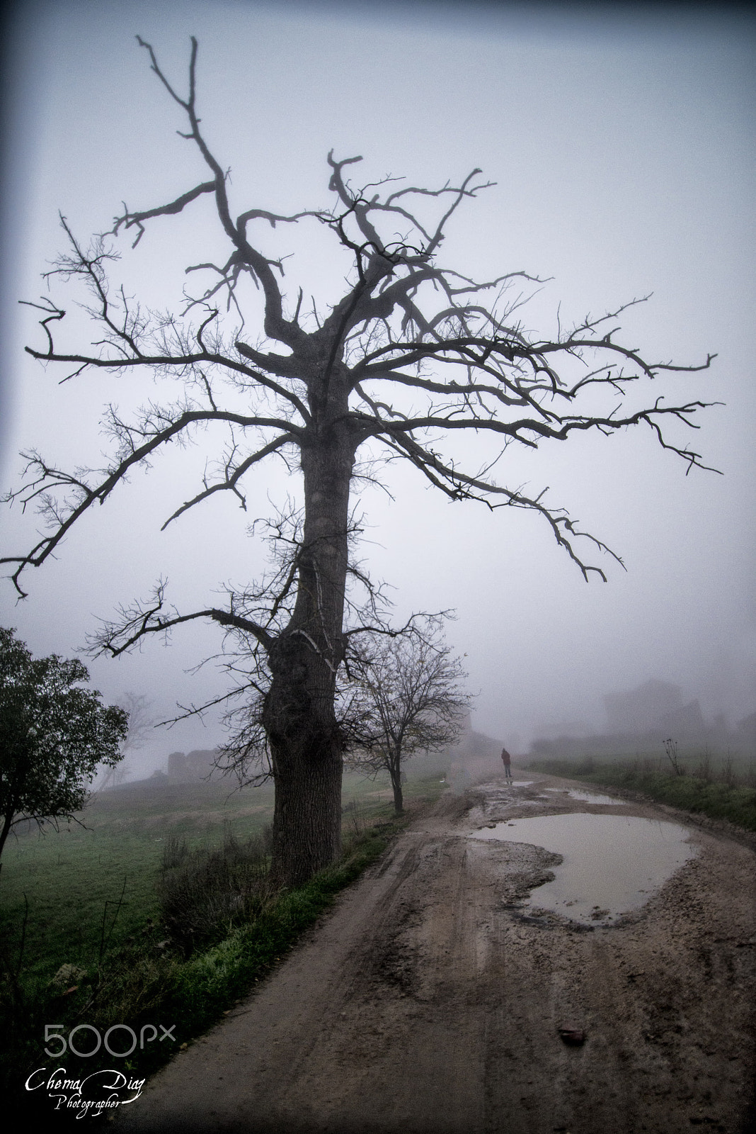 Nikon D800 sample photo. Dead zone. photography