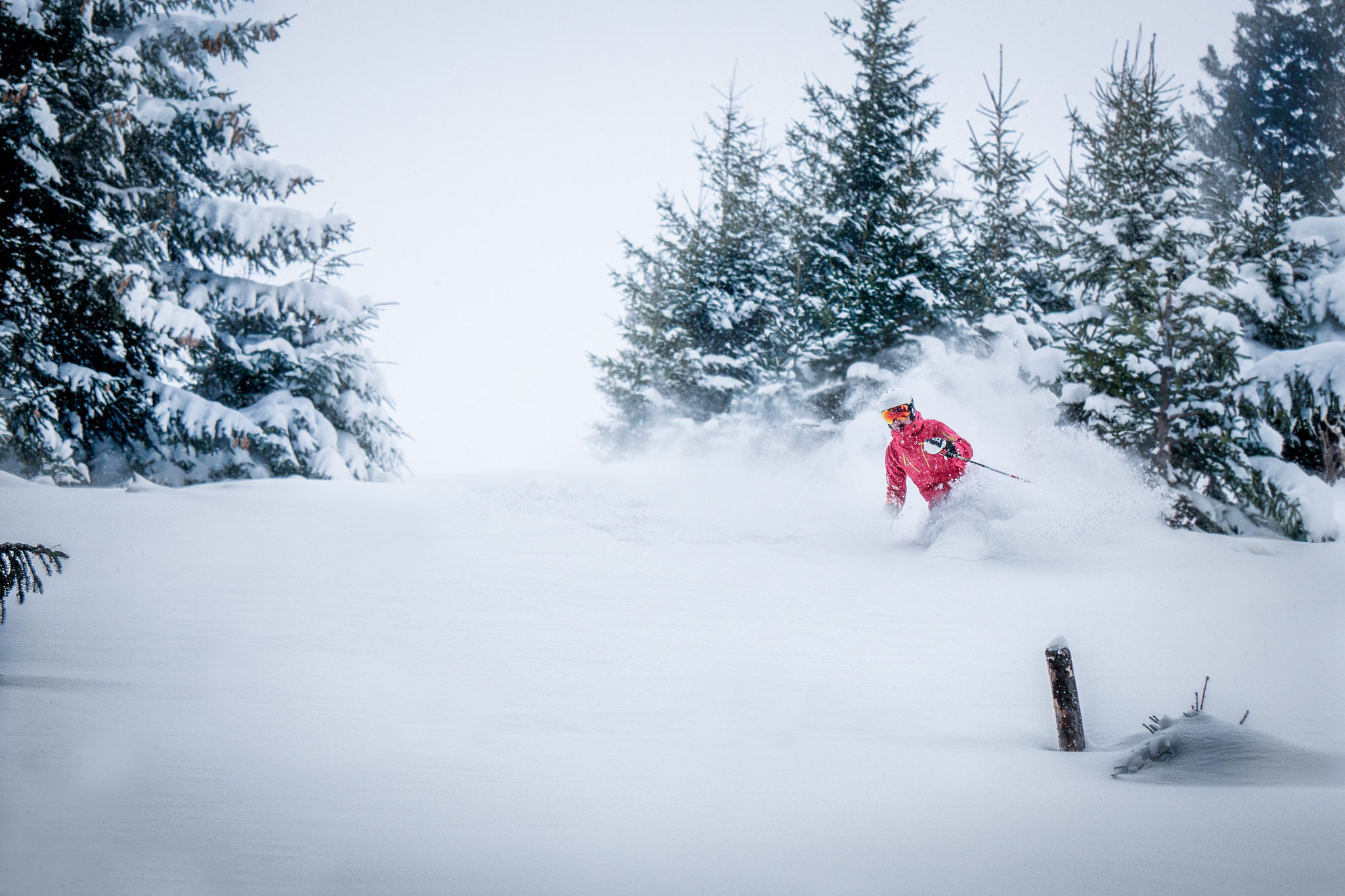 Sony a6300 + Sony E 55-210mm F4.5-6.3 OSS sample photo. Powder hunter photography